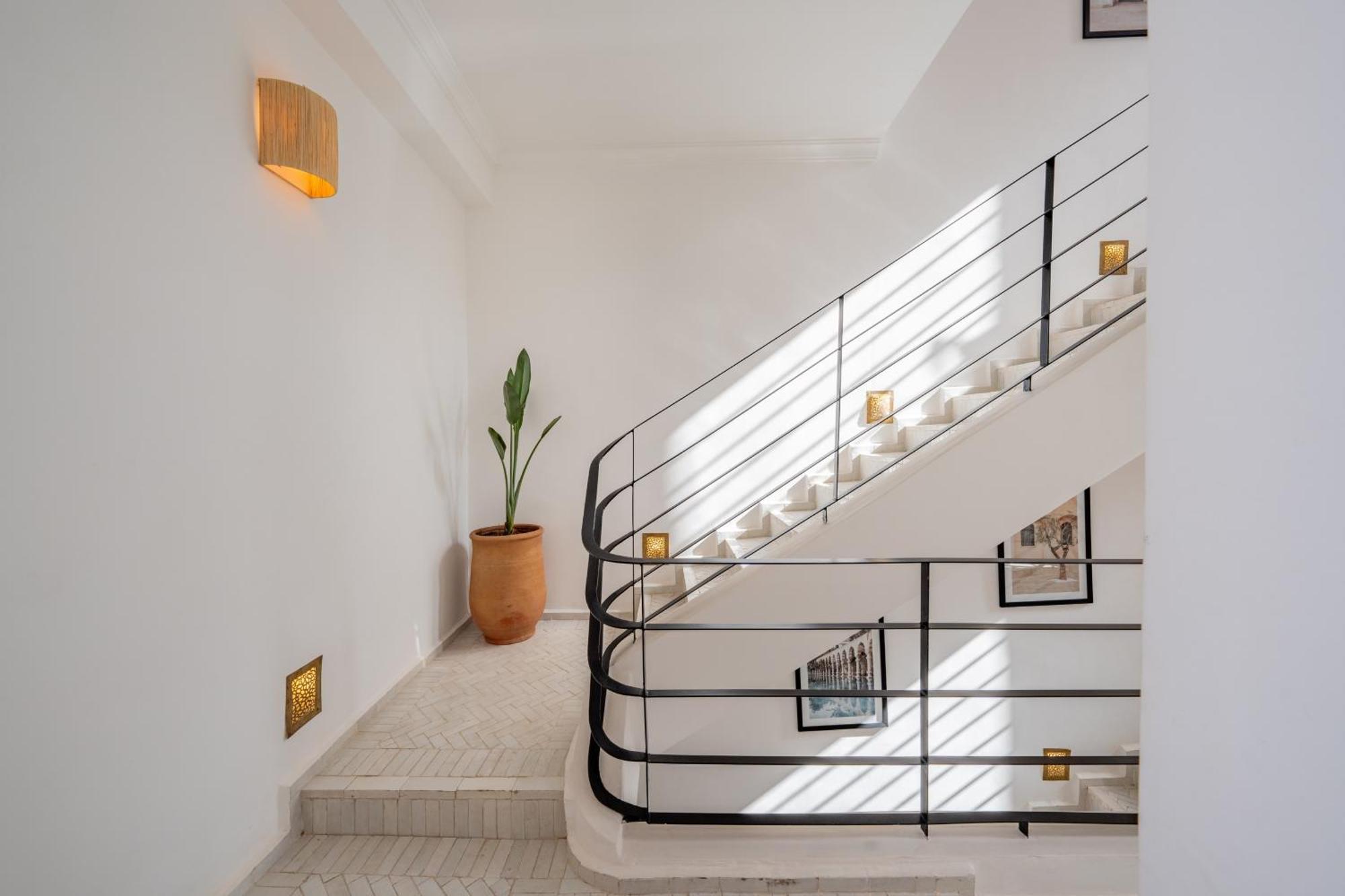 Le M Neuf Et Contemporain