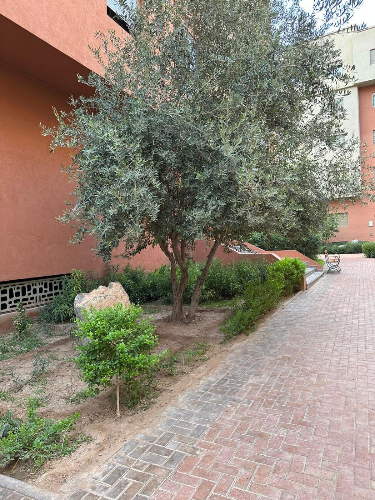 Apartment Le Saphir Un De Paradis Marrakesh