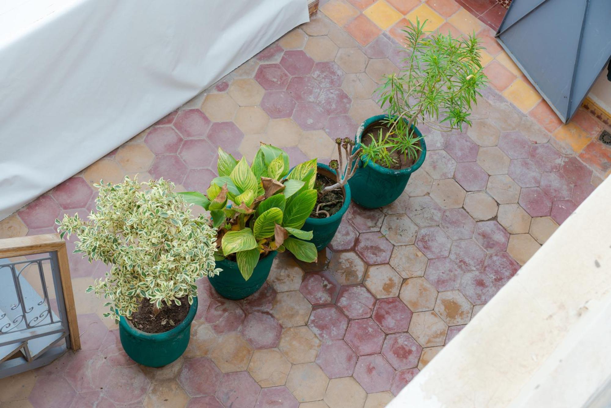 Lkhlil * Marrakesh