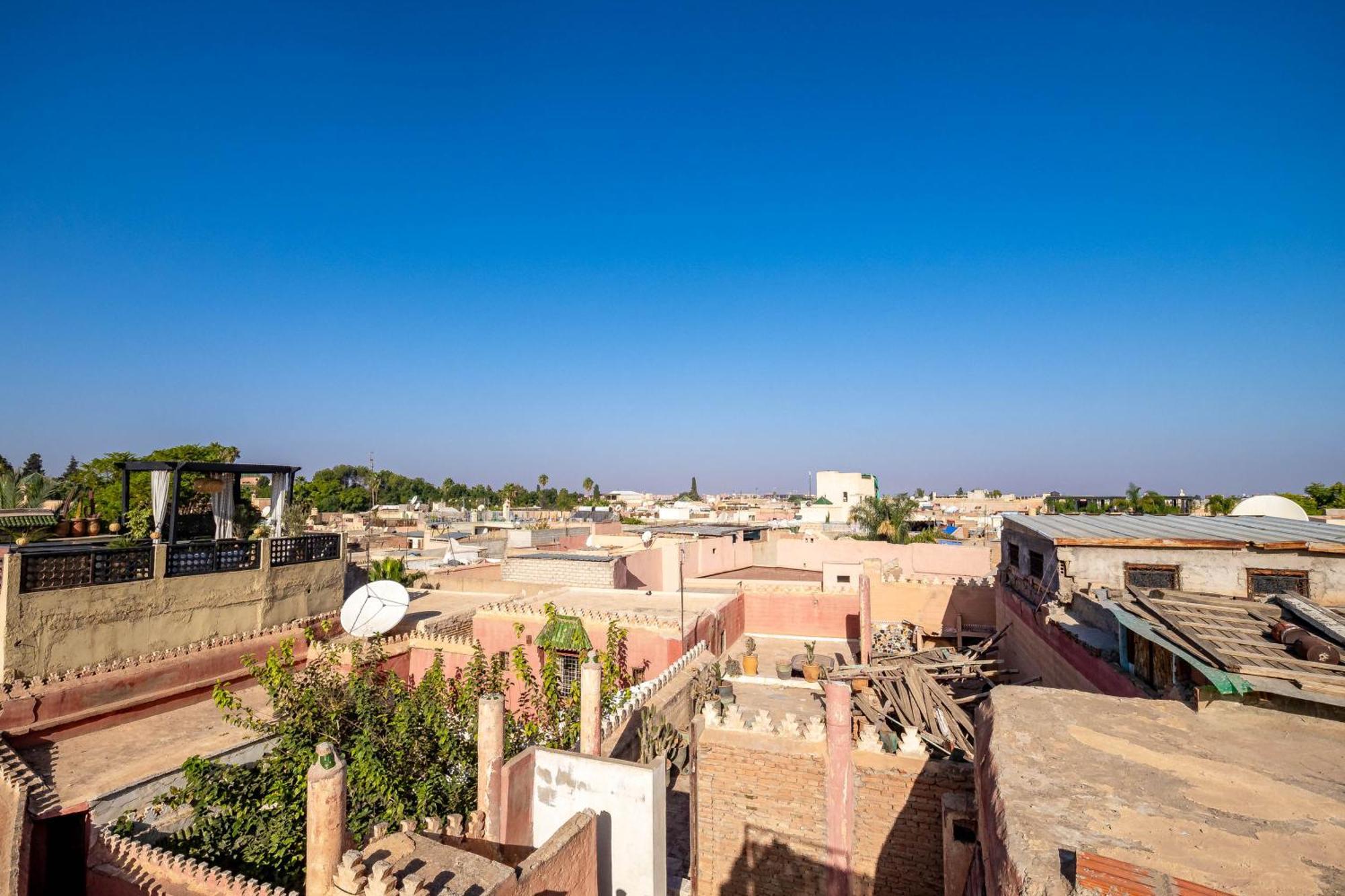La Gazelle Du Sud Riad