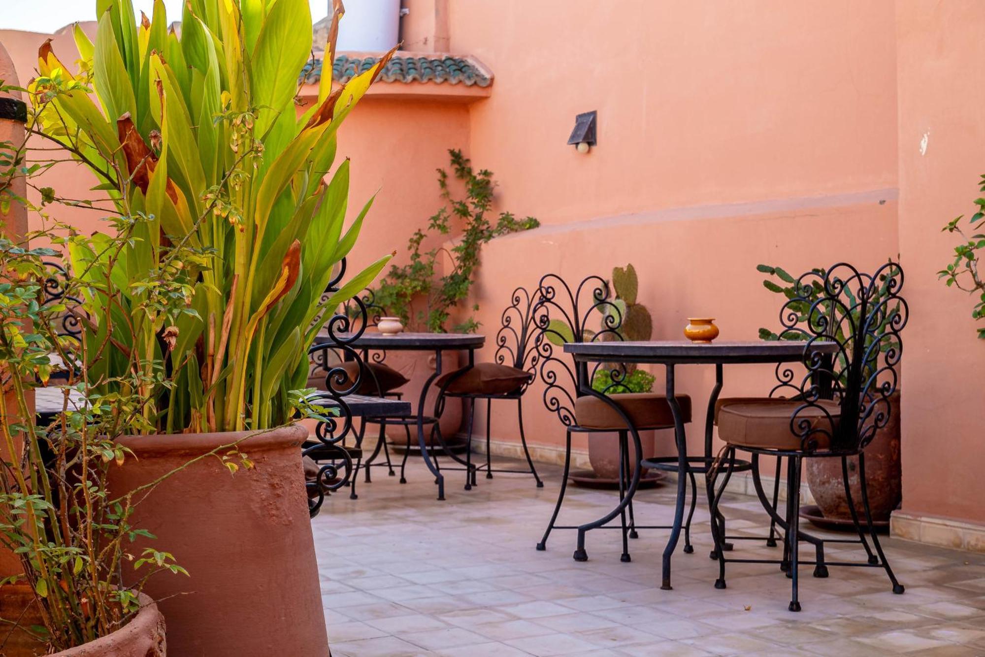 Riad La Gazelle Du Sud