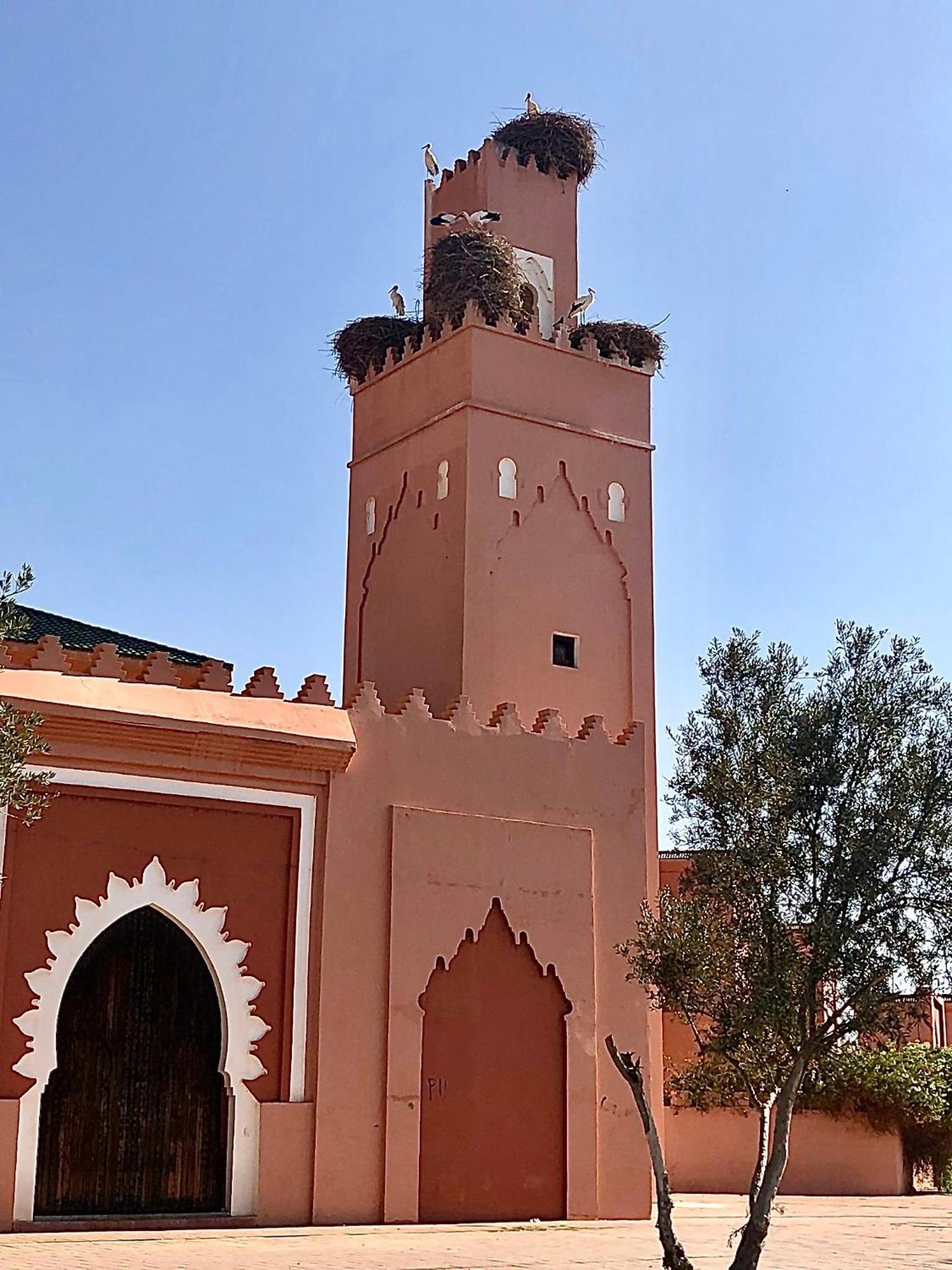 Abbassia Marrakech Premiere *