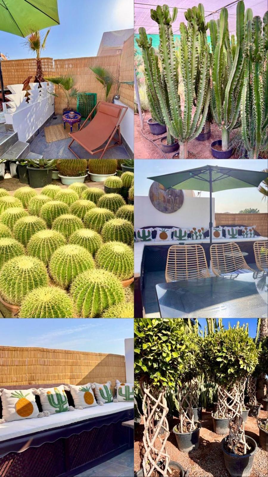 Сasa de vacaciones Privatise Jusqu A 10 Personnes Avec 5 Suites, Bassin Et Rooftop A Seulement 15 Minutes A Pied De La Celebre Place Jemaa El Fna Marrakesh