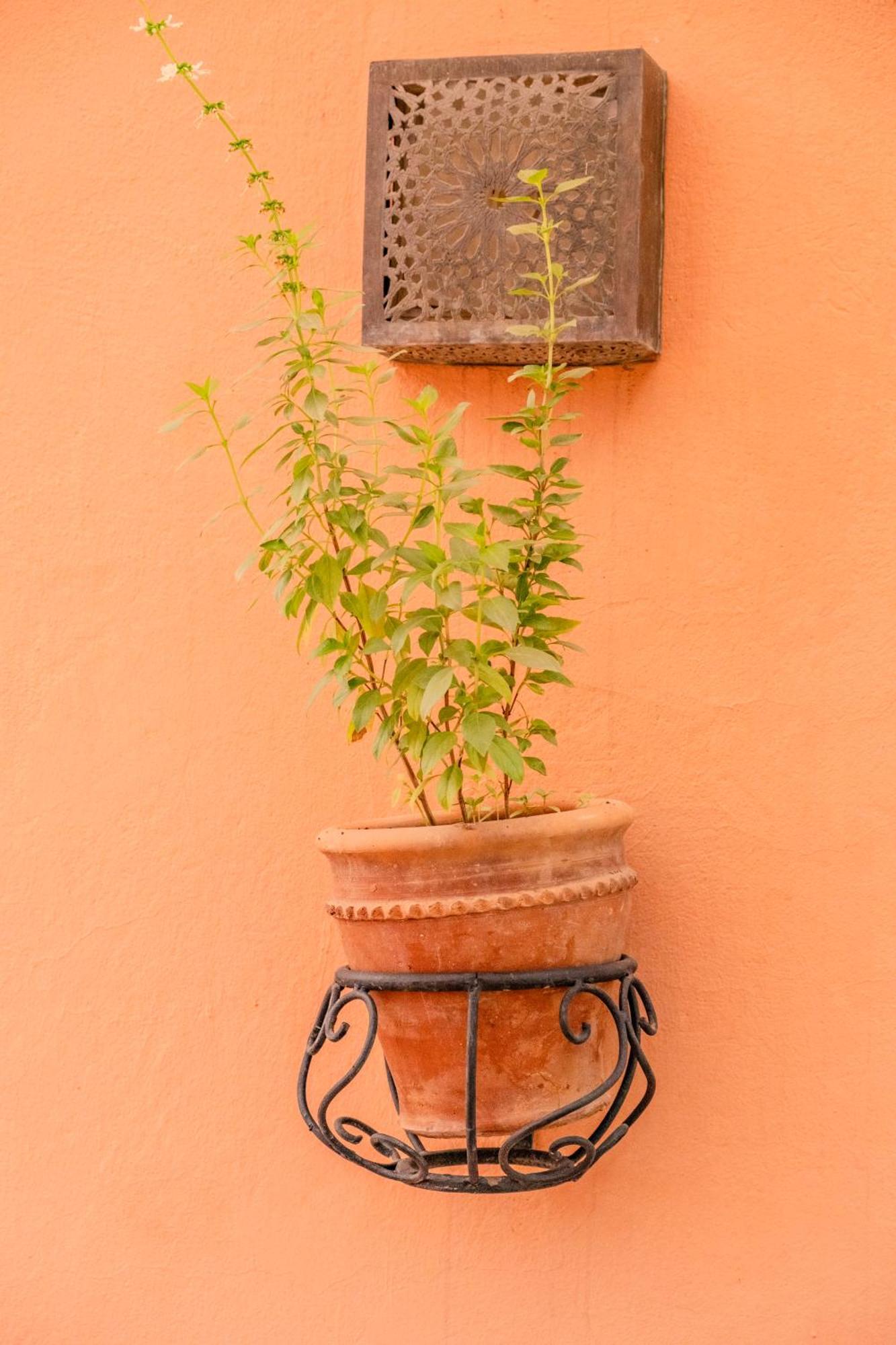 Luxury With Pool, Garden & Gated Security * Marrakesh