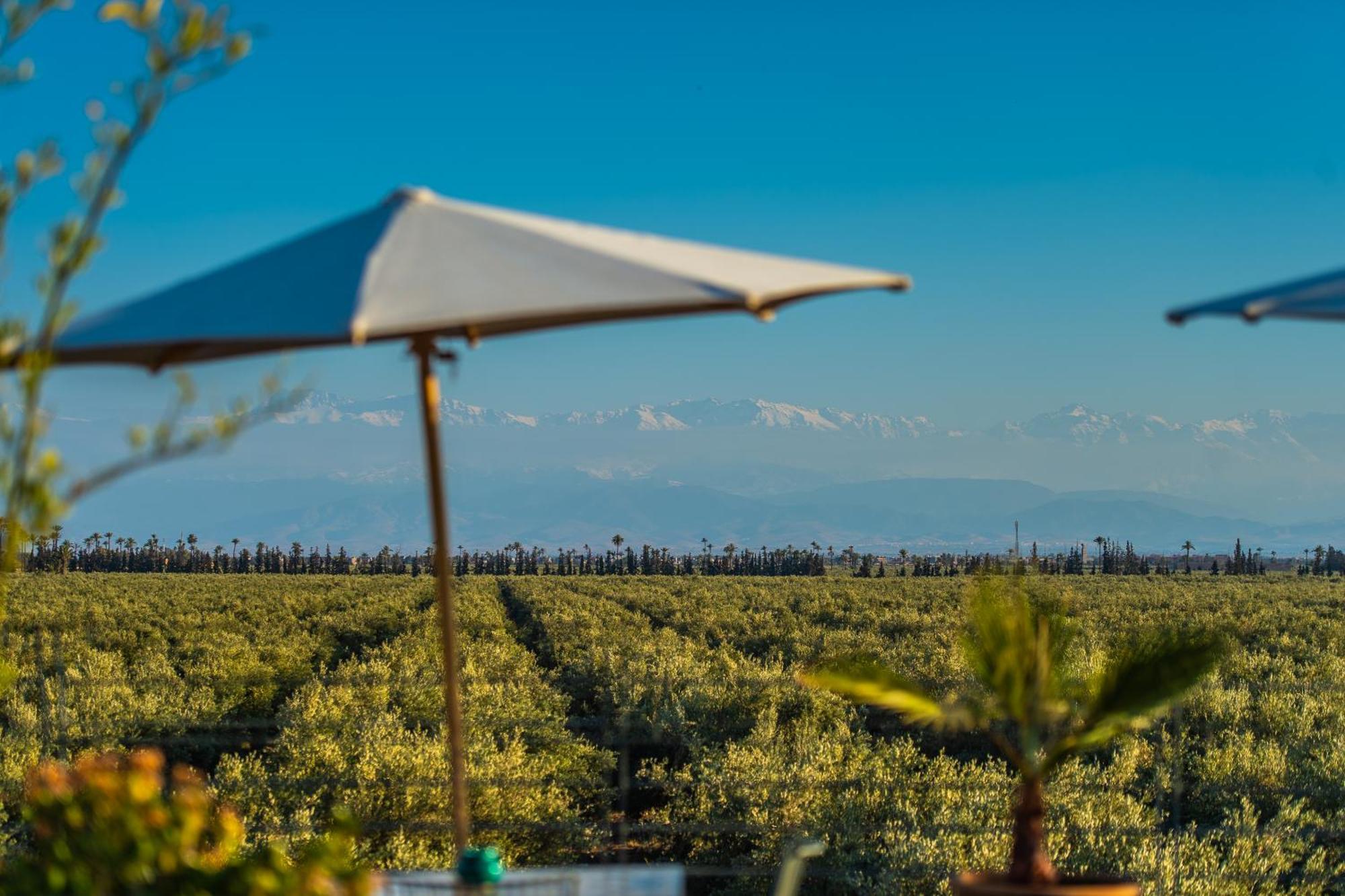 Bab Ahmar * Marrakesh
