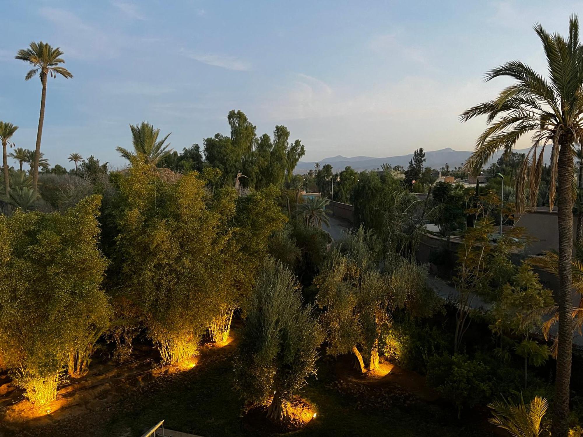 Kasbah De Luxe, Piscine Et Jacuzzi Chauffes, Jardin Tropical