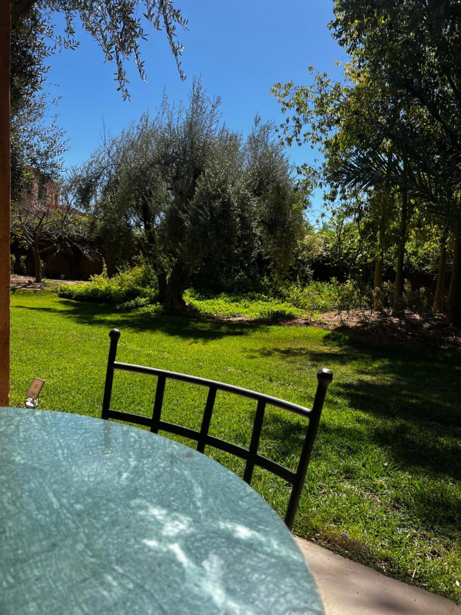 Villa Kasbah De Luxe, Piscine Et Jacuzzi Chauffes, Jardin Tropical Marrakesh