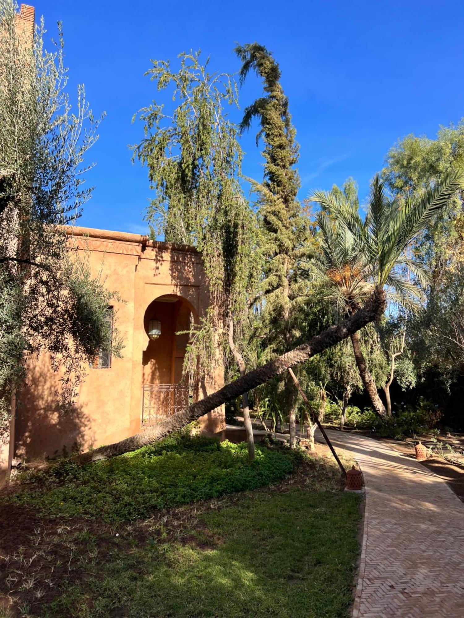 Kasbah De Luxe, Piscine Et Jacuzzi Chauffes, Jardin Tropical Villa