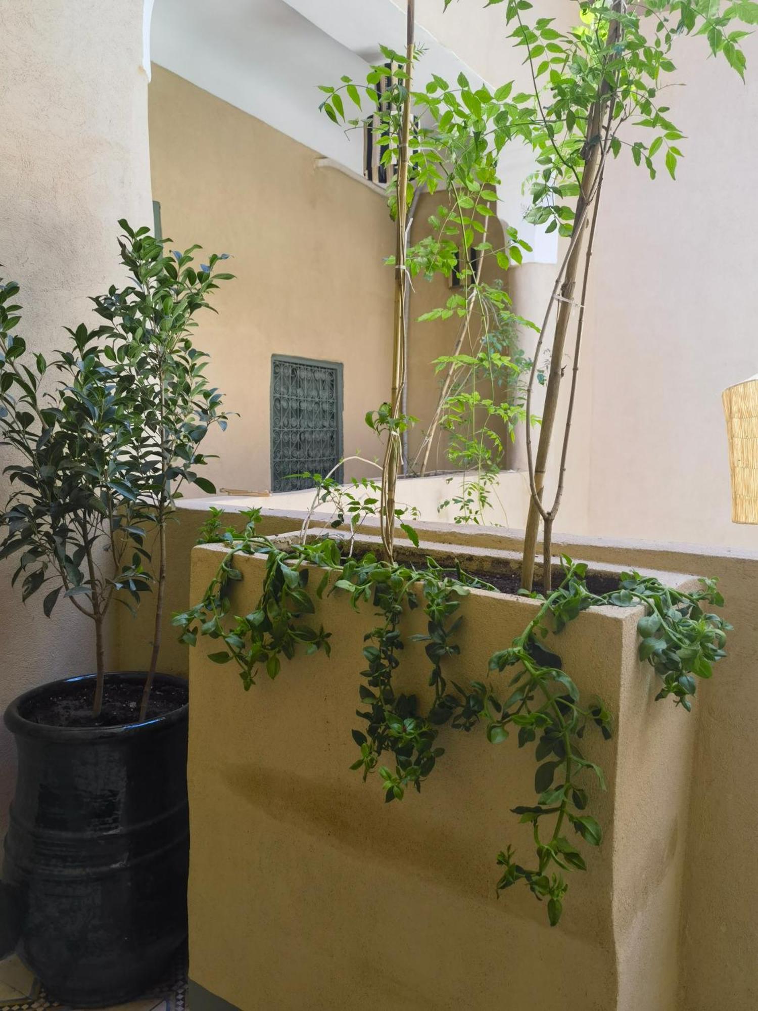 Medina Oasis Hostel