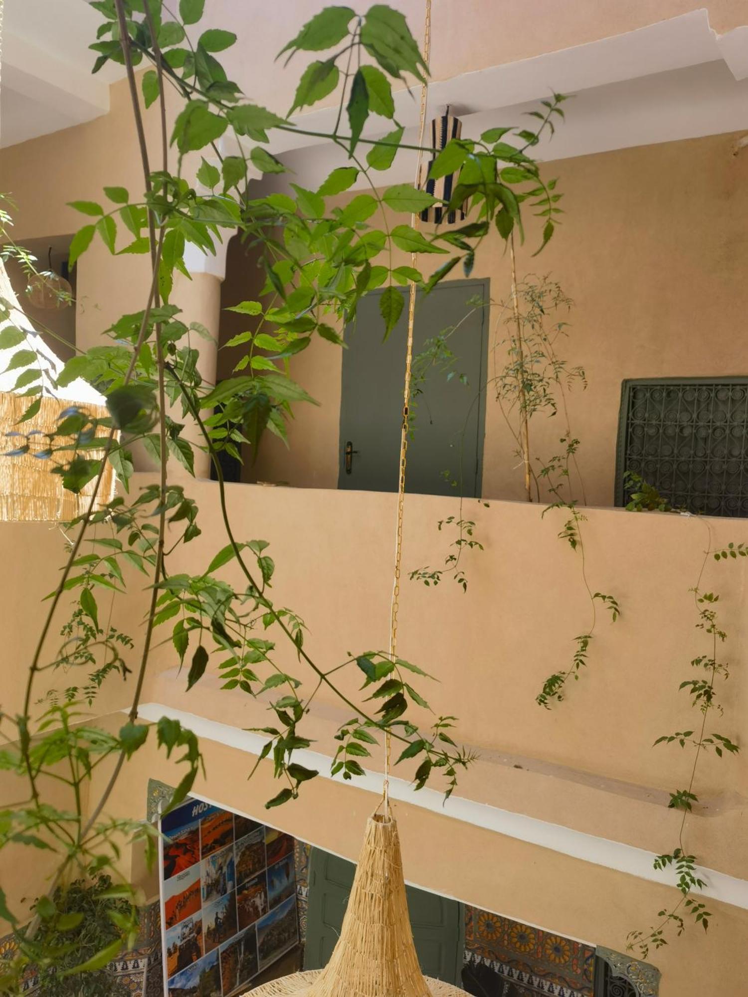 Hostel Medina Oasis *