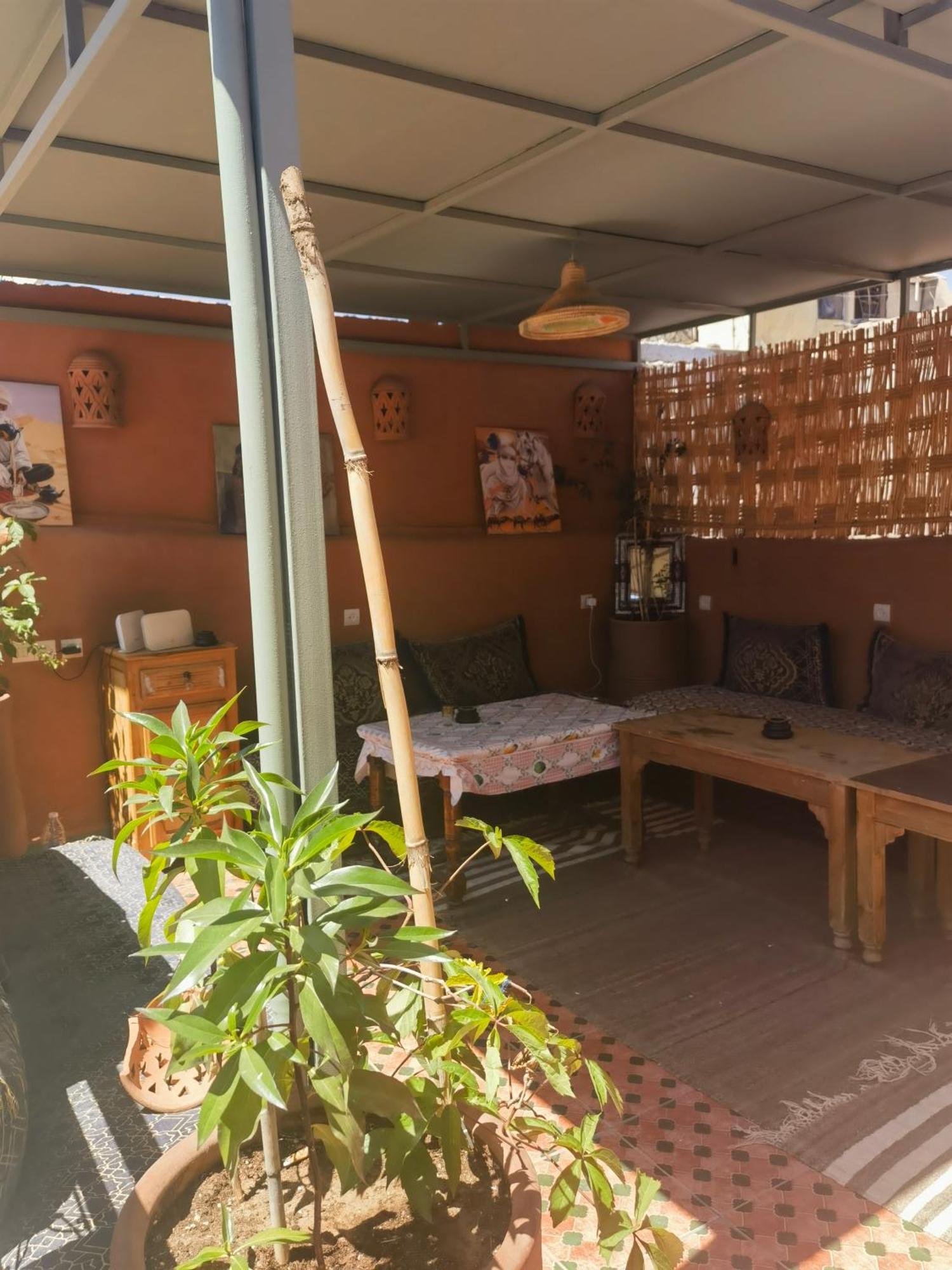 Medina Oasis