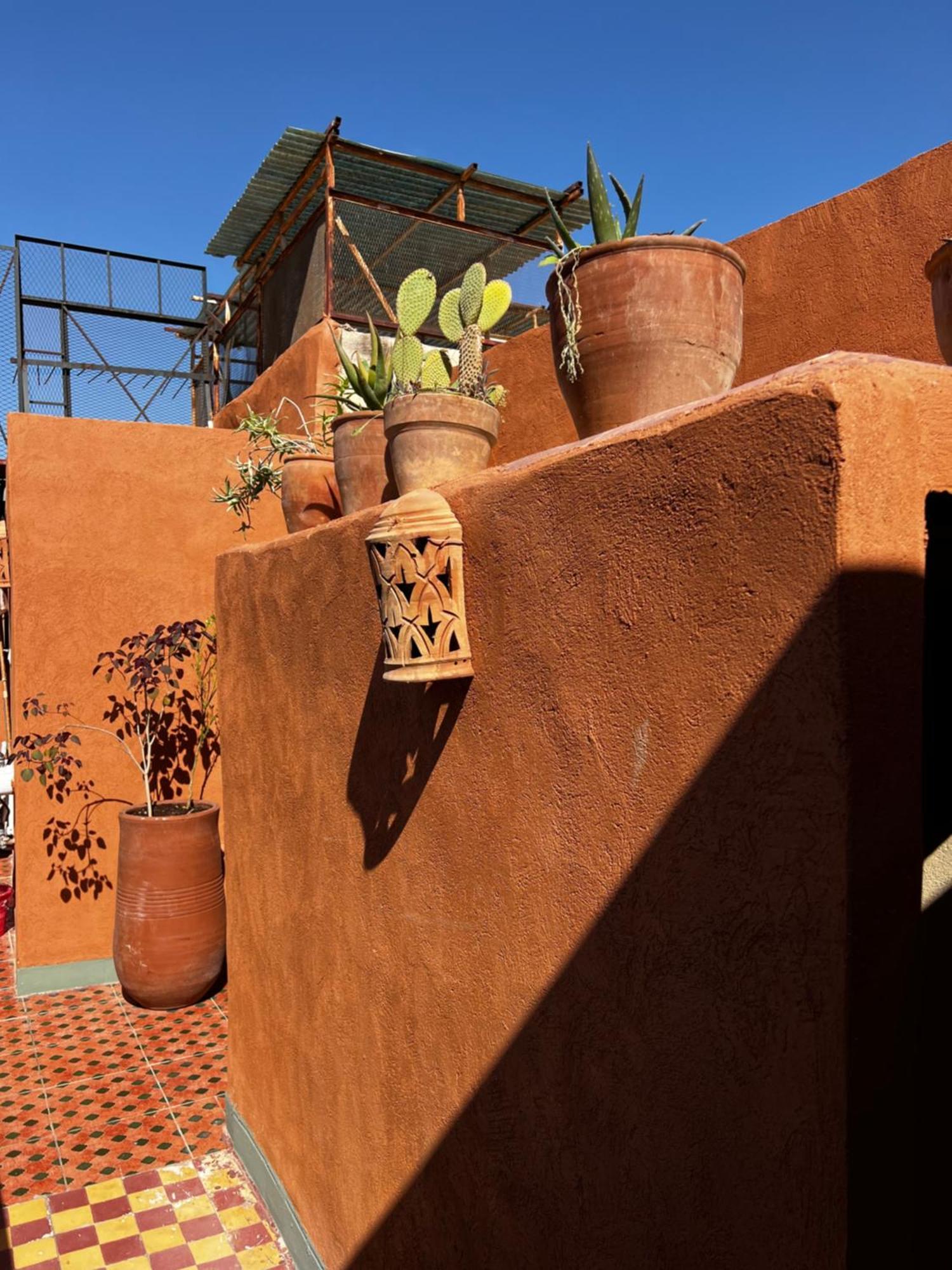 Hostel Medina Oasis *