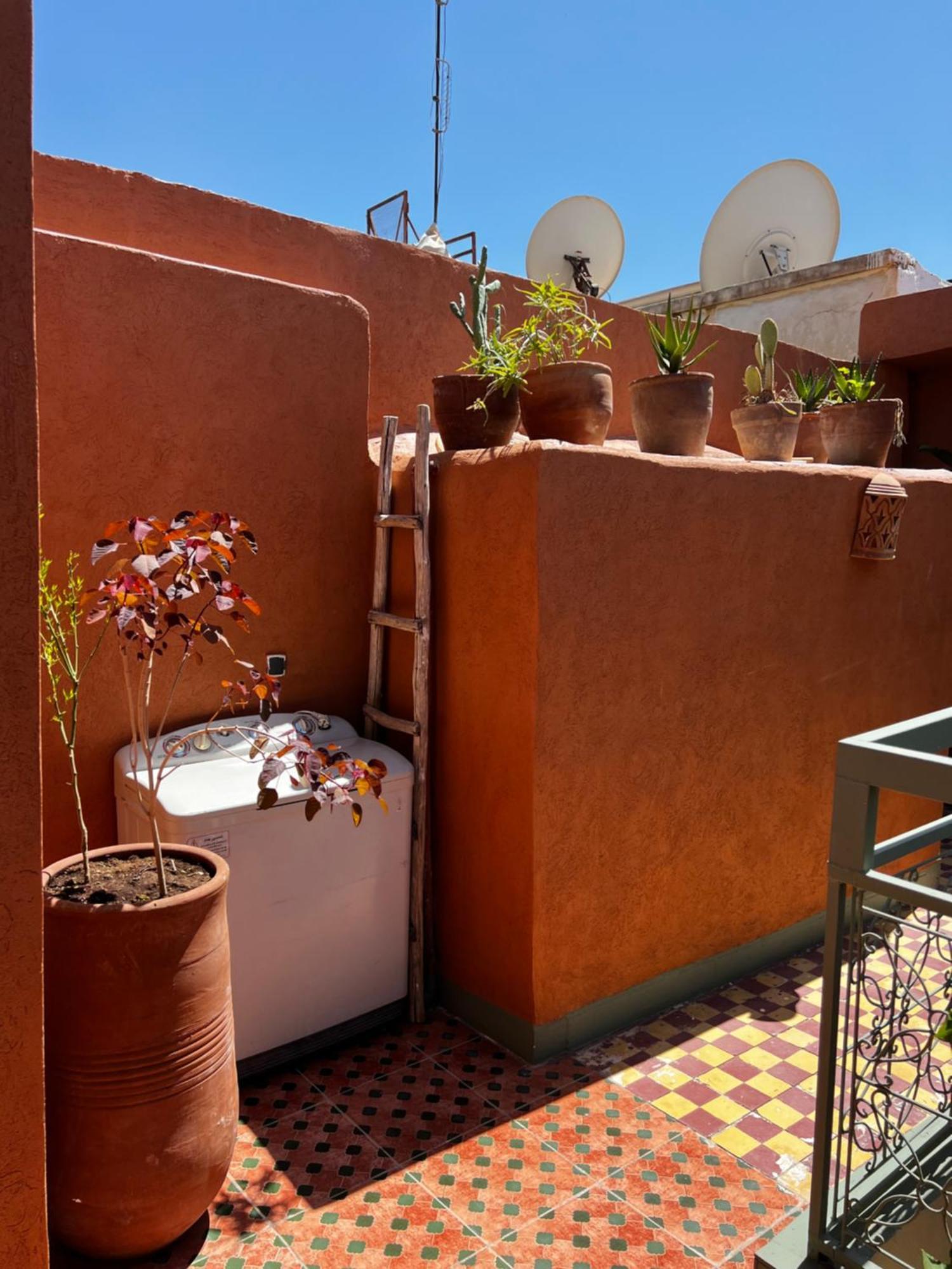 Medina Oasis