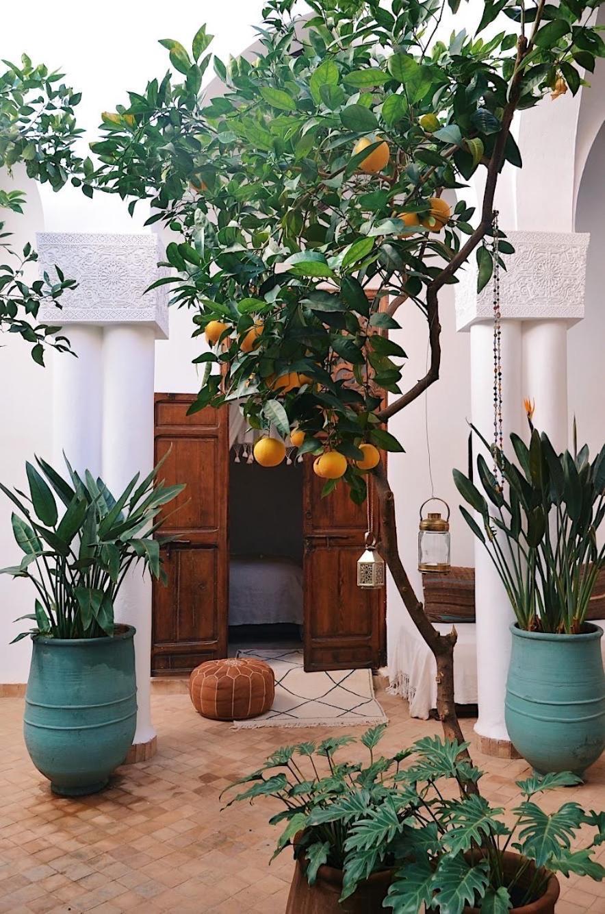 Bed & Breakfast Nosade Venue Marrakesh