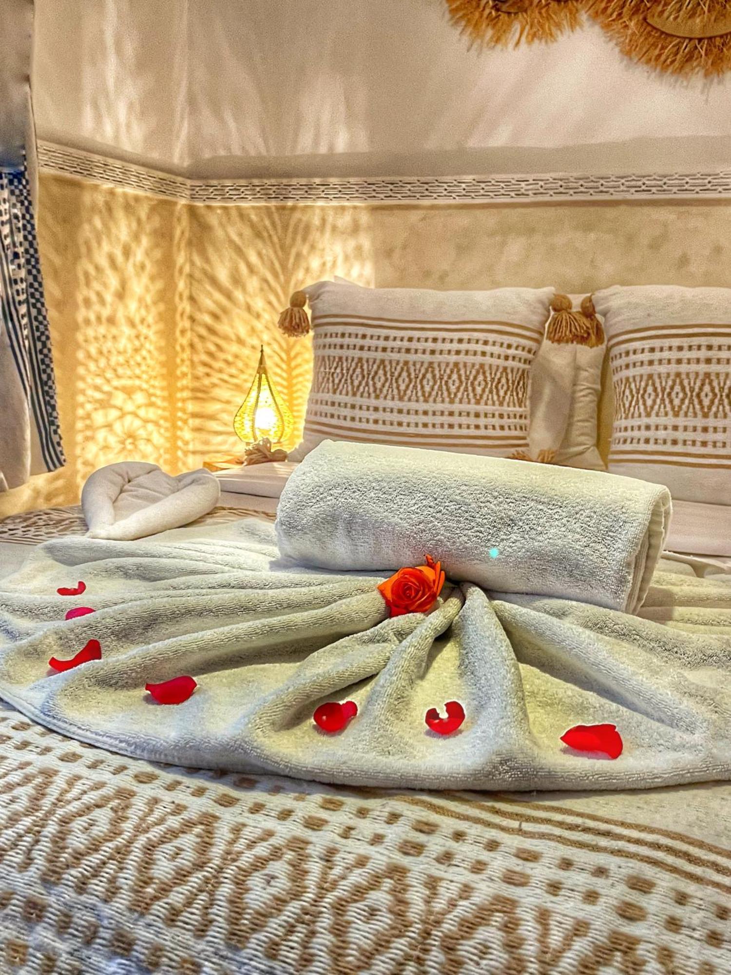 Tarba & Riad