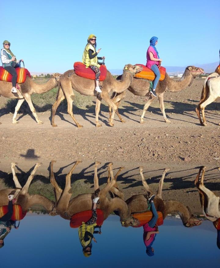 Juli's * Marrakesh