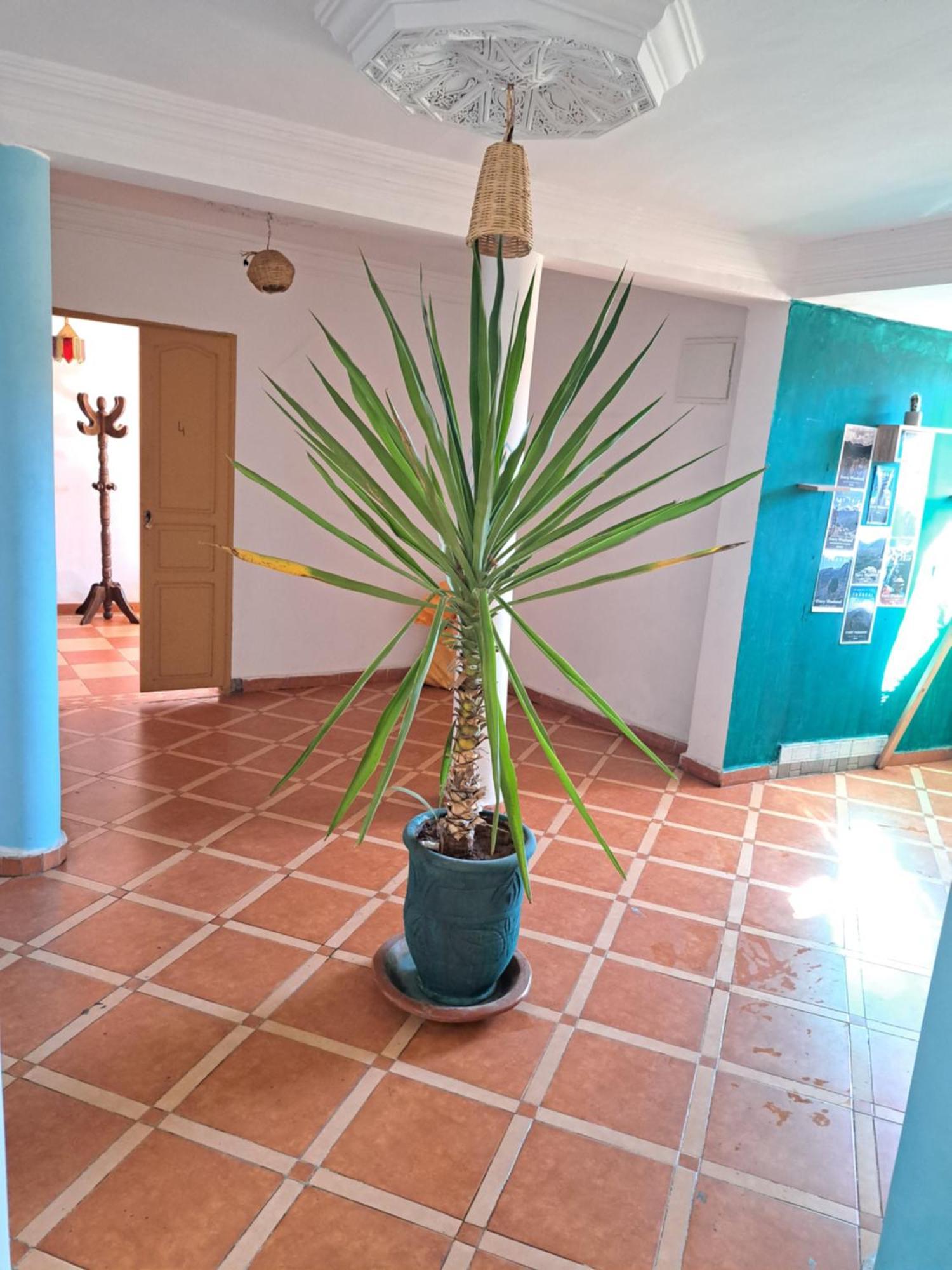 Riad Sun Rooftop House *