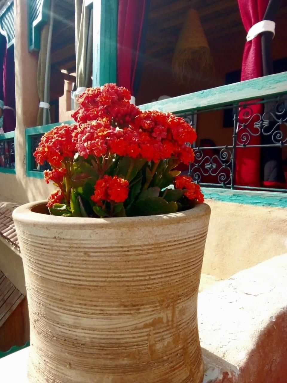 Maison Des Maitres * Marrakesh