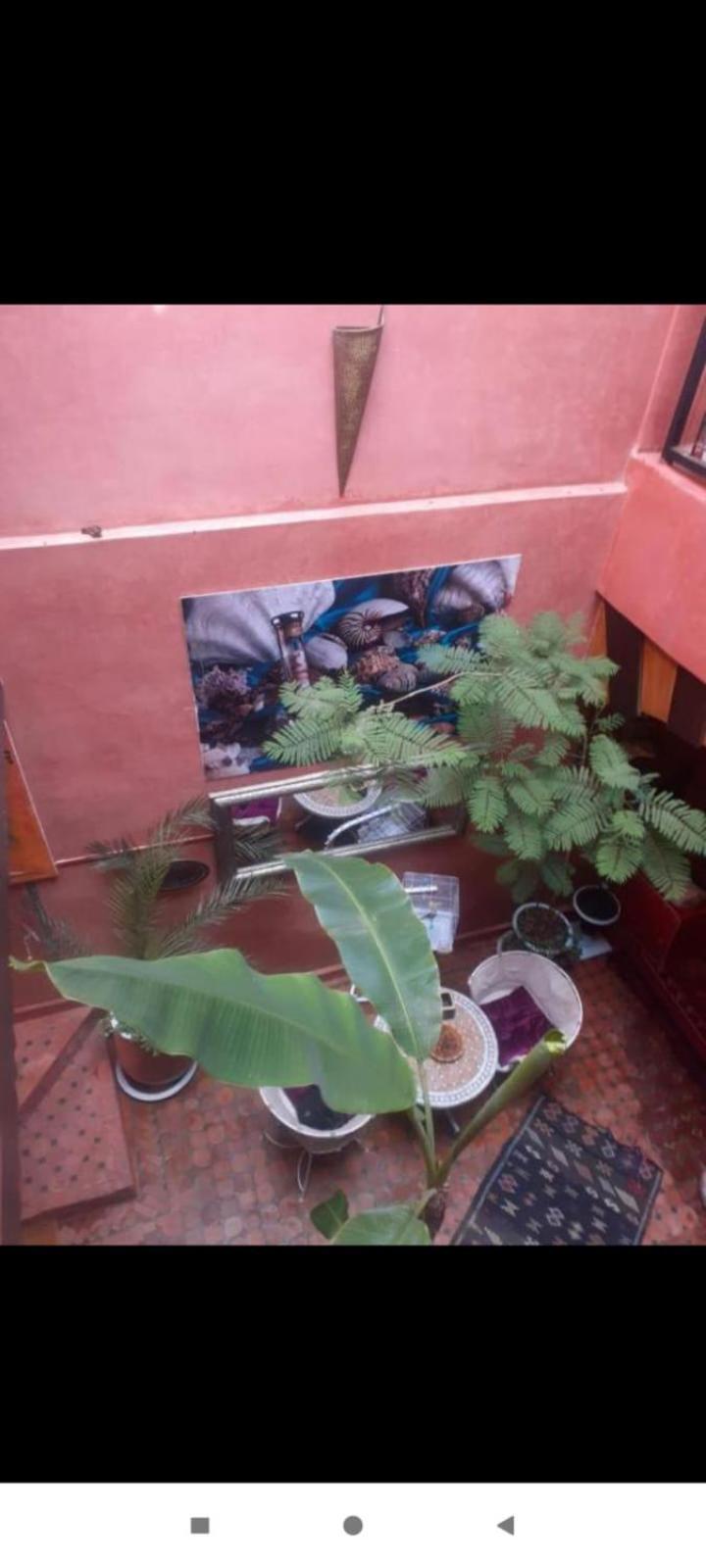 Riad Hanafi Marraquexe