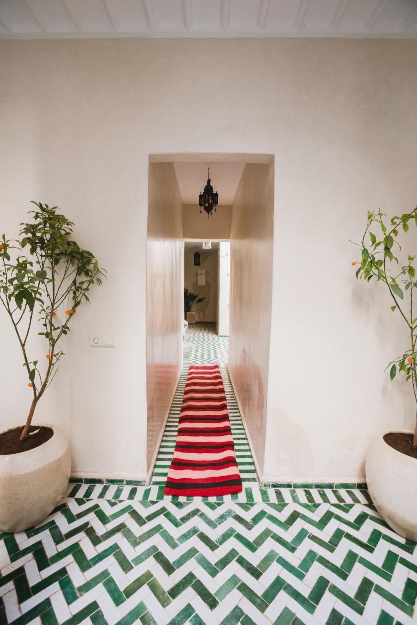 Zazz Riad