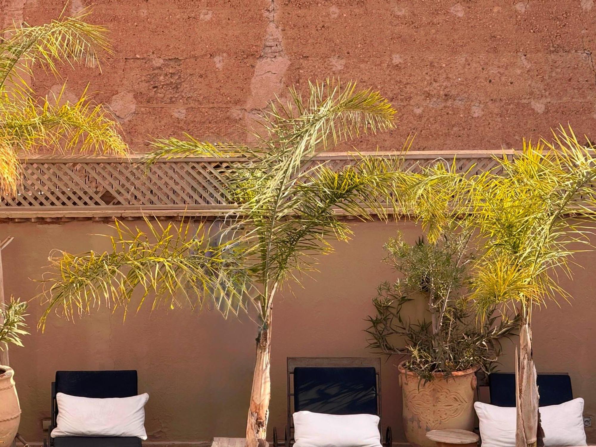 Rafaele & 4* Marrakesh