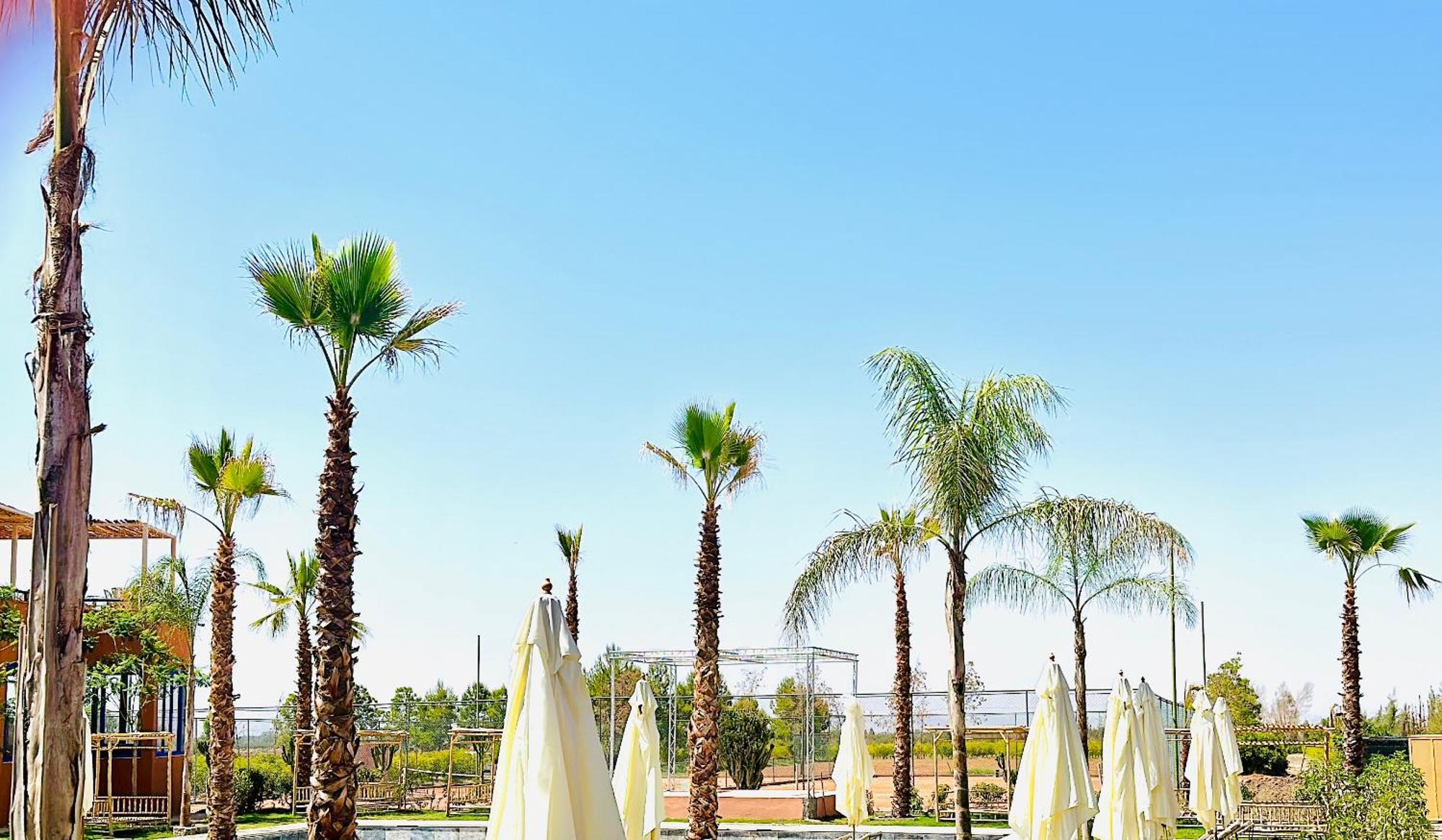 Whisper * Marrakesh