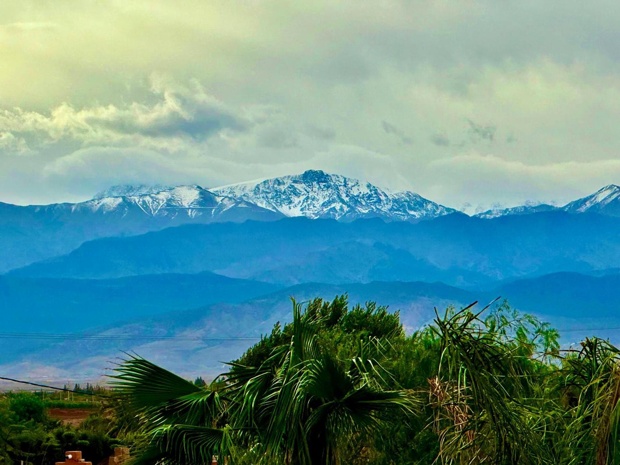Whisper * Marrakesh