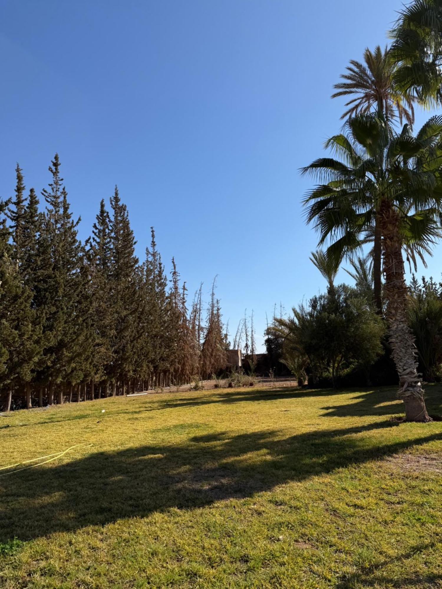 Villa Palmeraie Piscine Et Domaine Privee Marrakesh