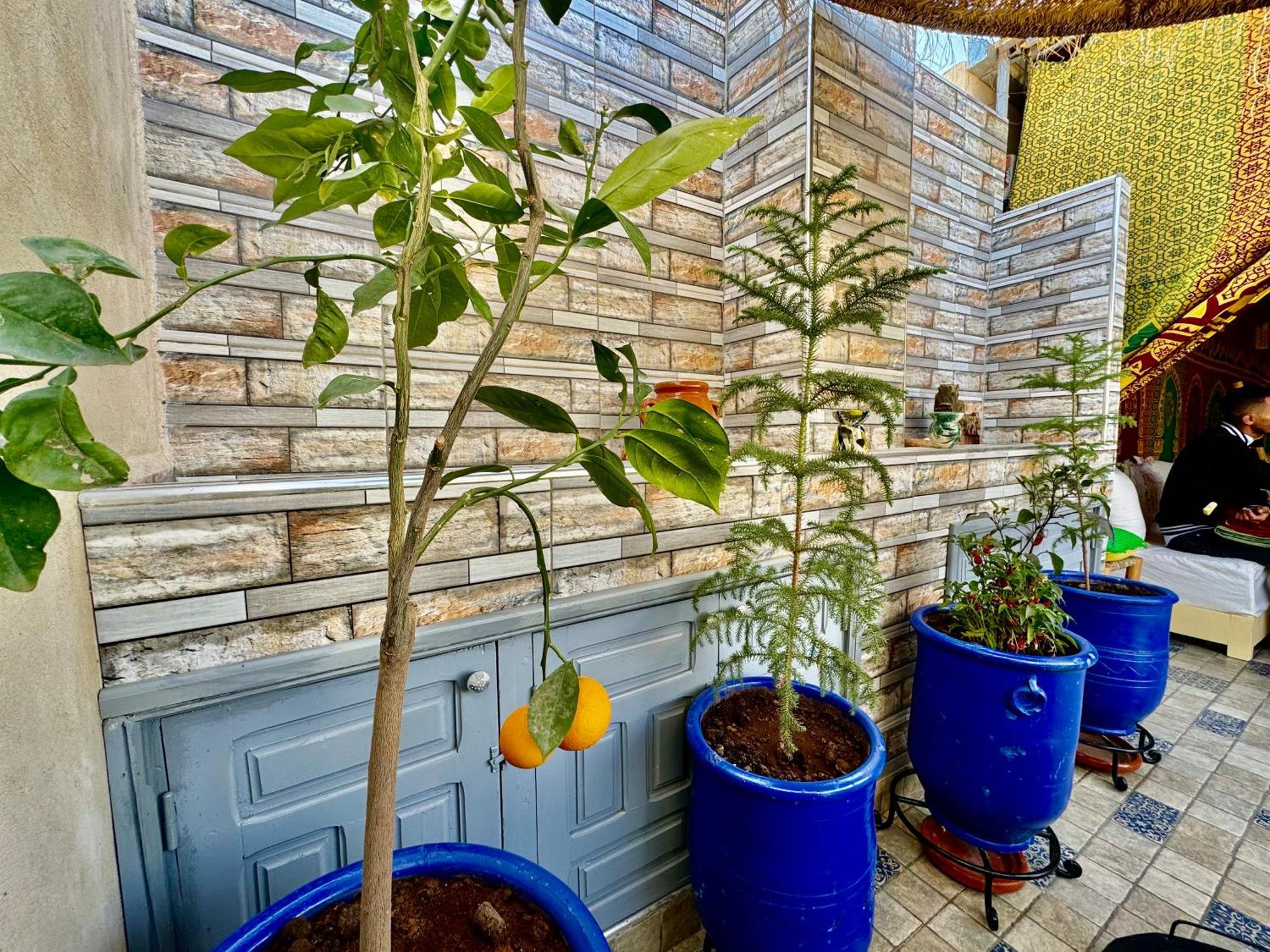 Elbaroudi Riad