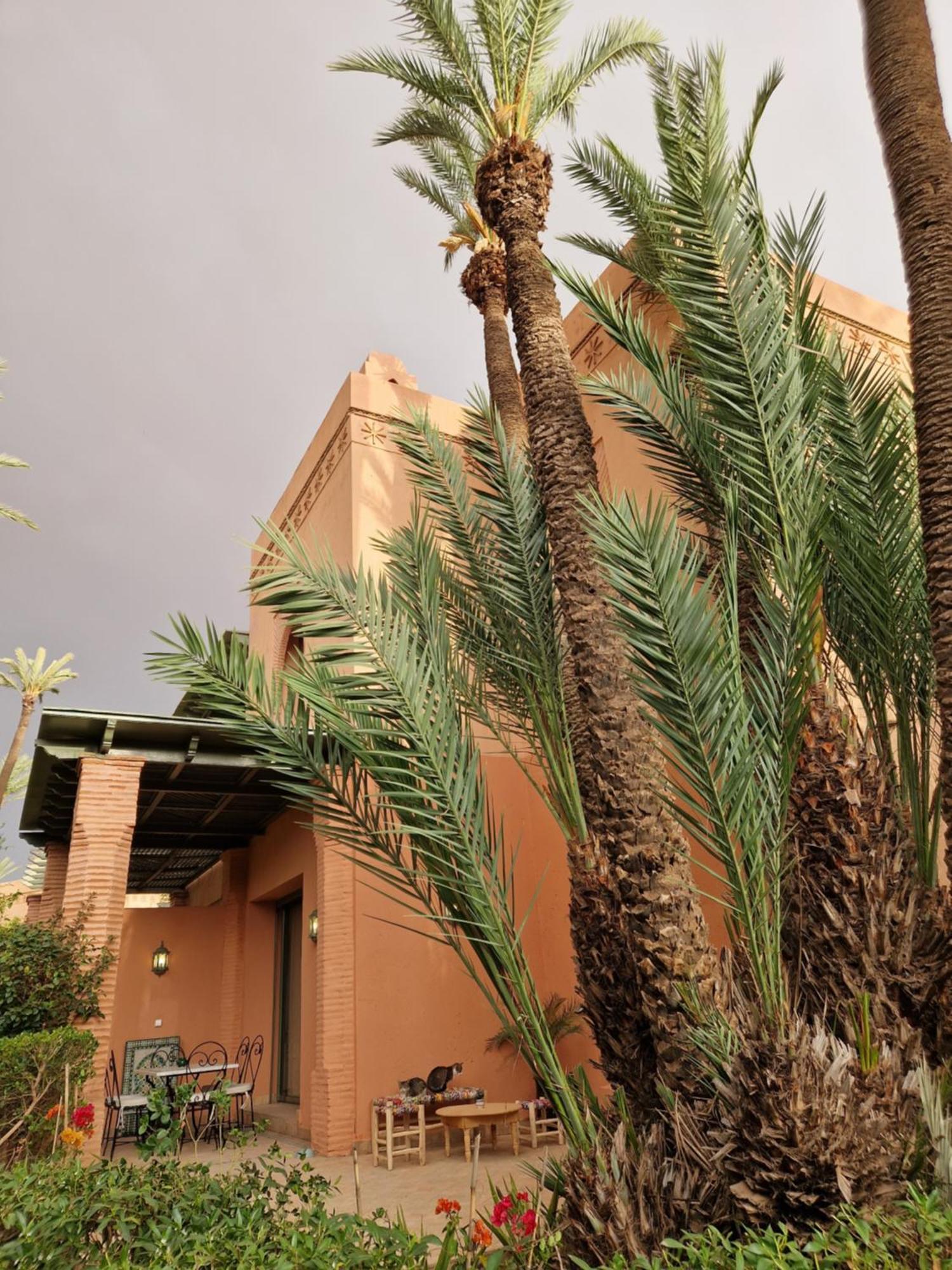 Les Jardins De La Palmeraie 2 *