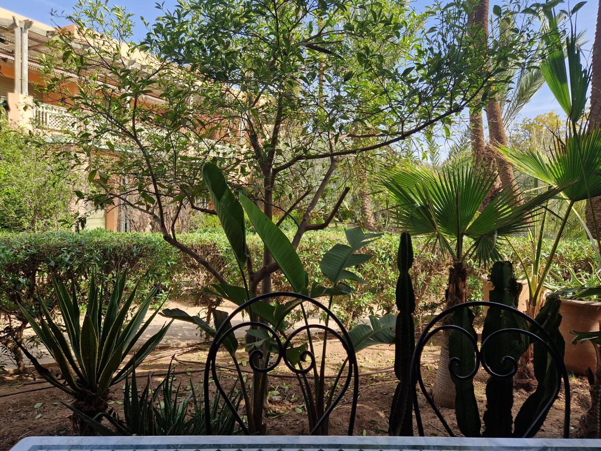 Les Jardins De La Palmeraie 2 Apartment