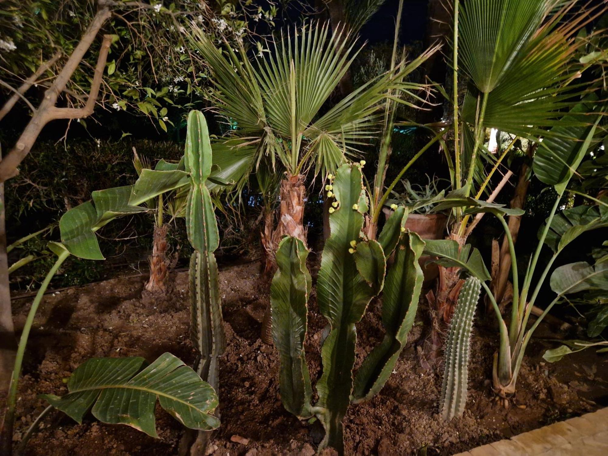 Les Jardins De La Palmeraie 2 Apartment *
