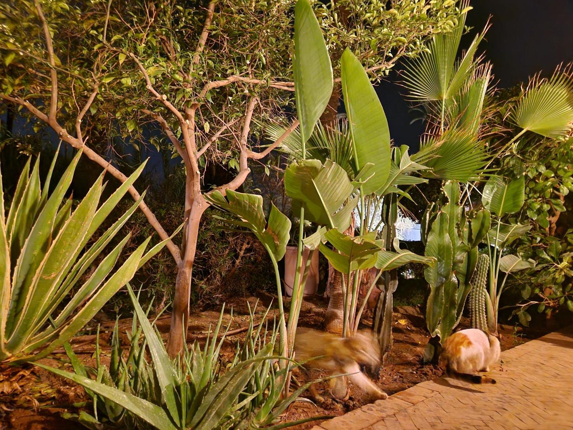 Apartment Les Jardins De La Palmeraie 2 Marrakesh