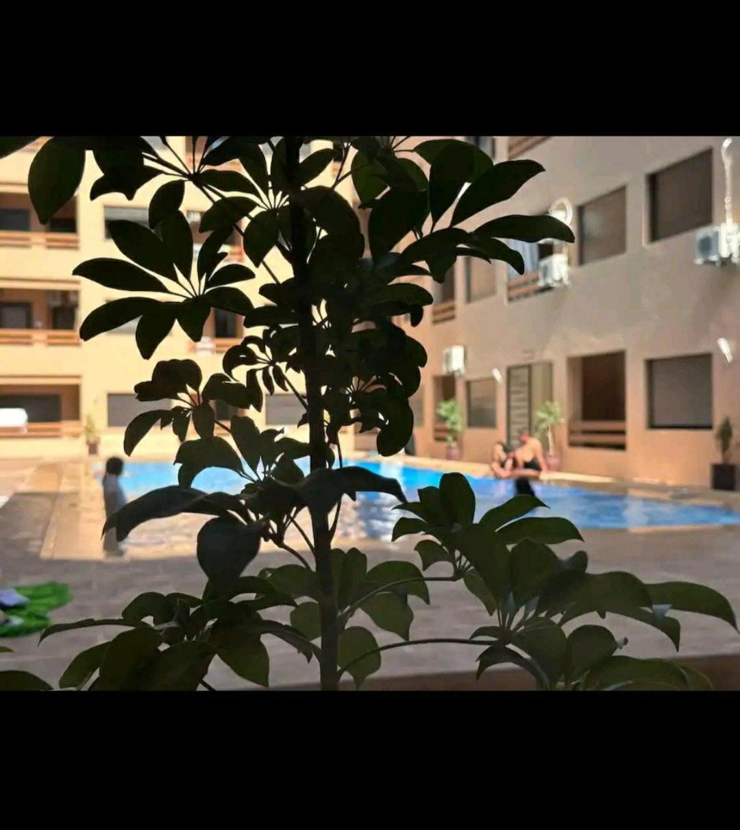Apartment 12 Marrakech Centr Gueliz Marrakesh