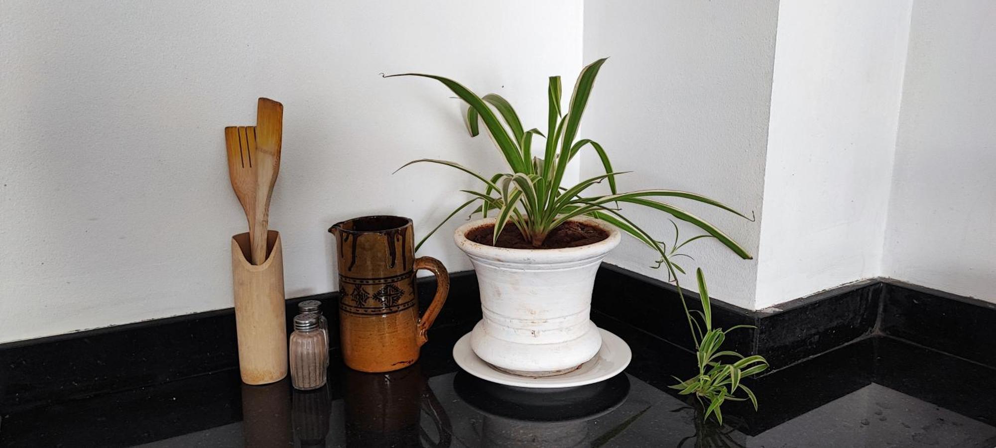 Luxury In Hivernage Marrakech Appartement