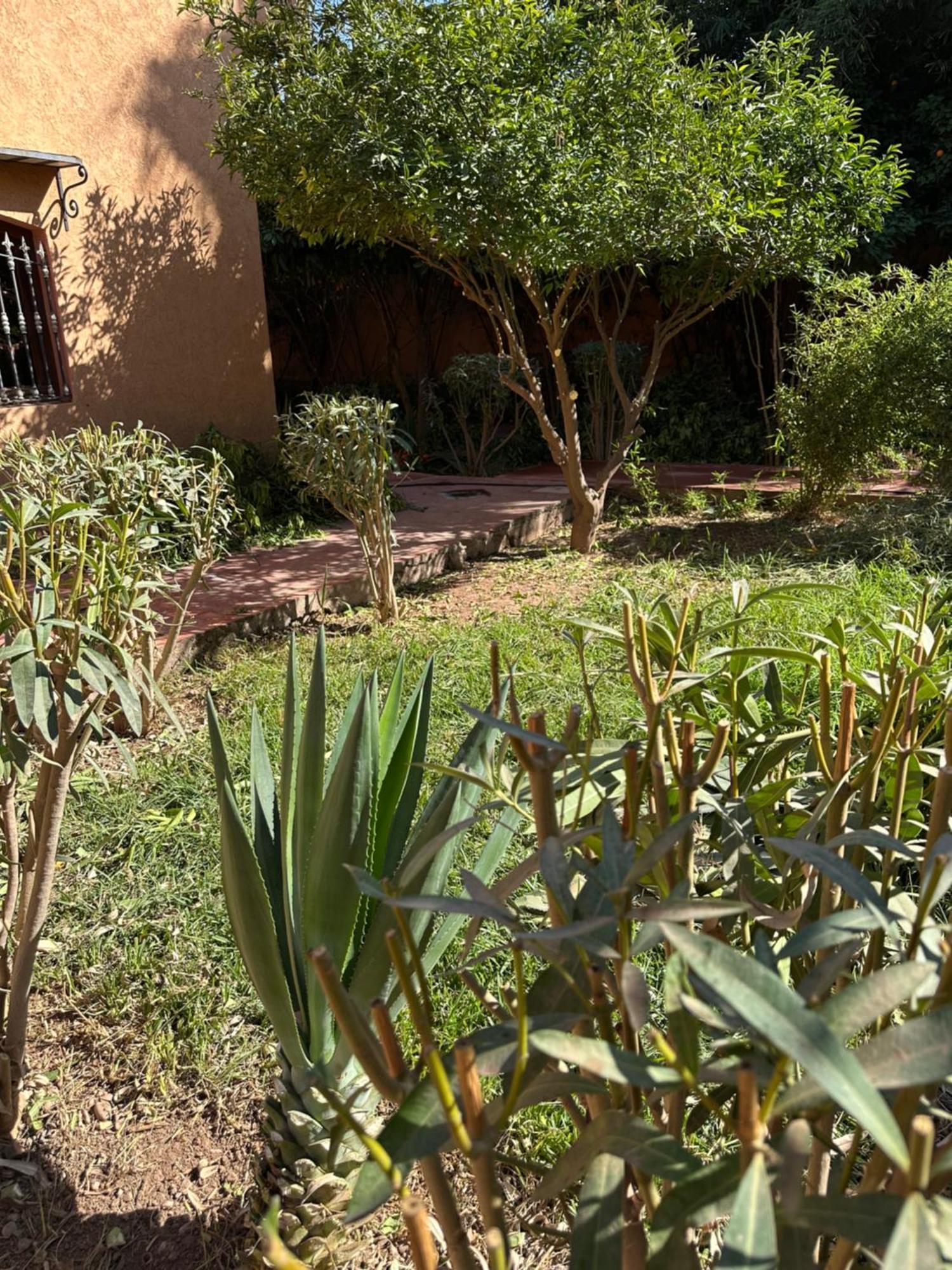Homestay Fekhara Country Club