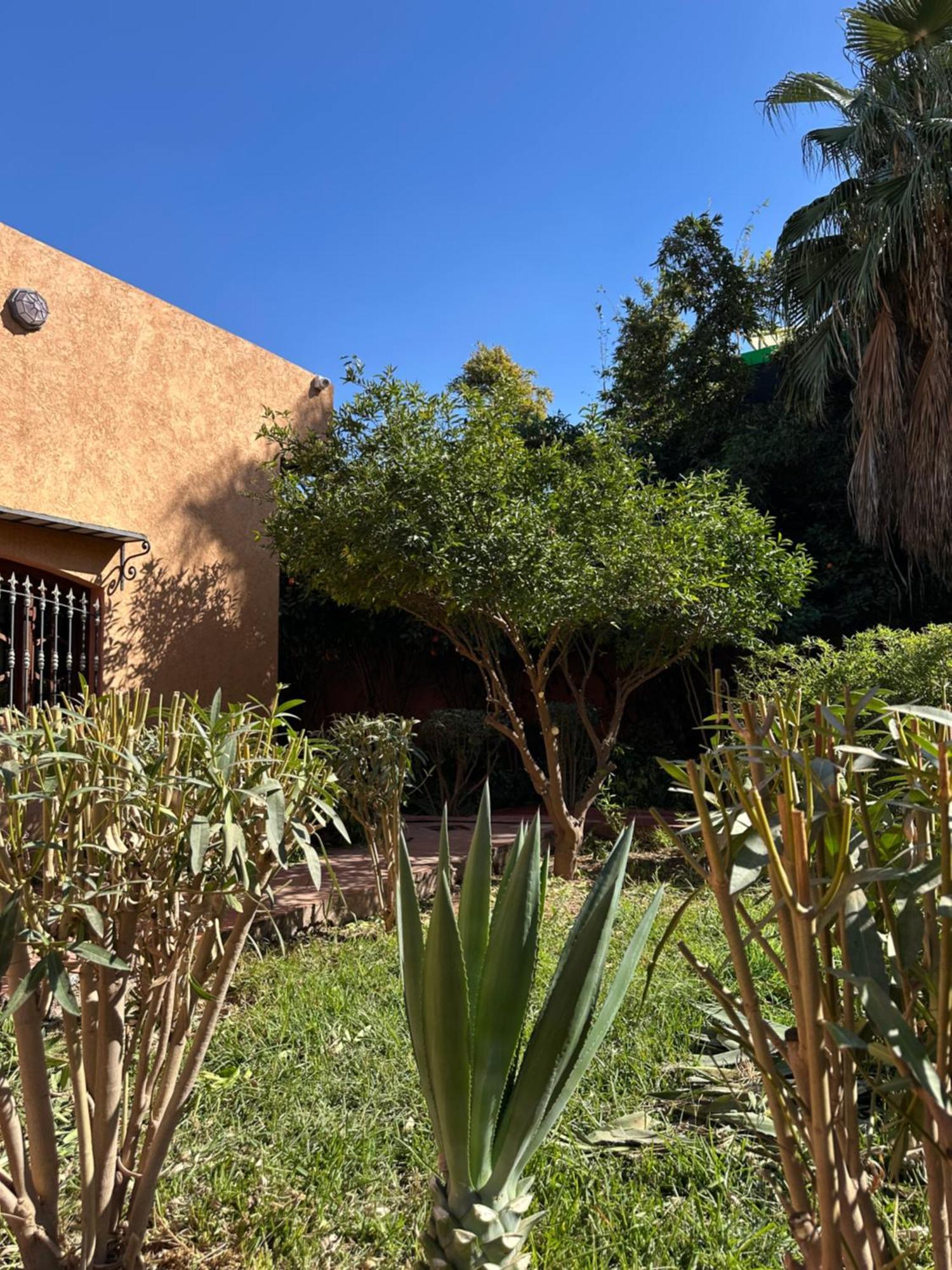 Homestay Fekhara Country Club