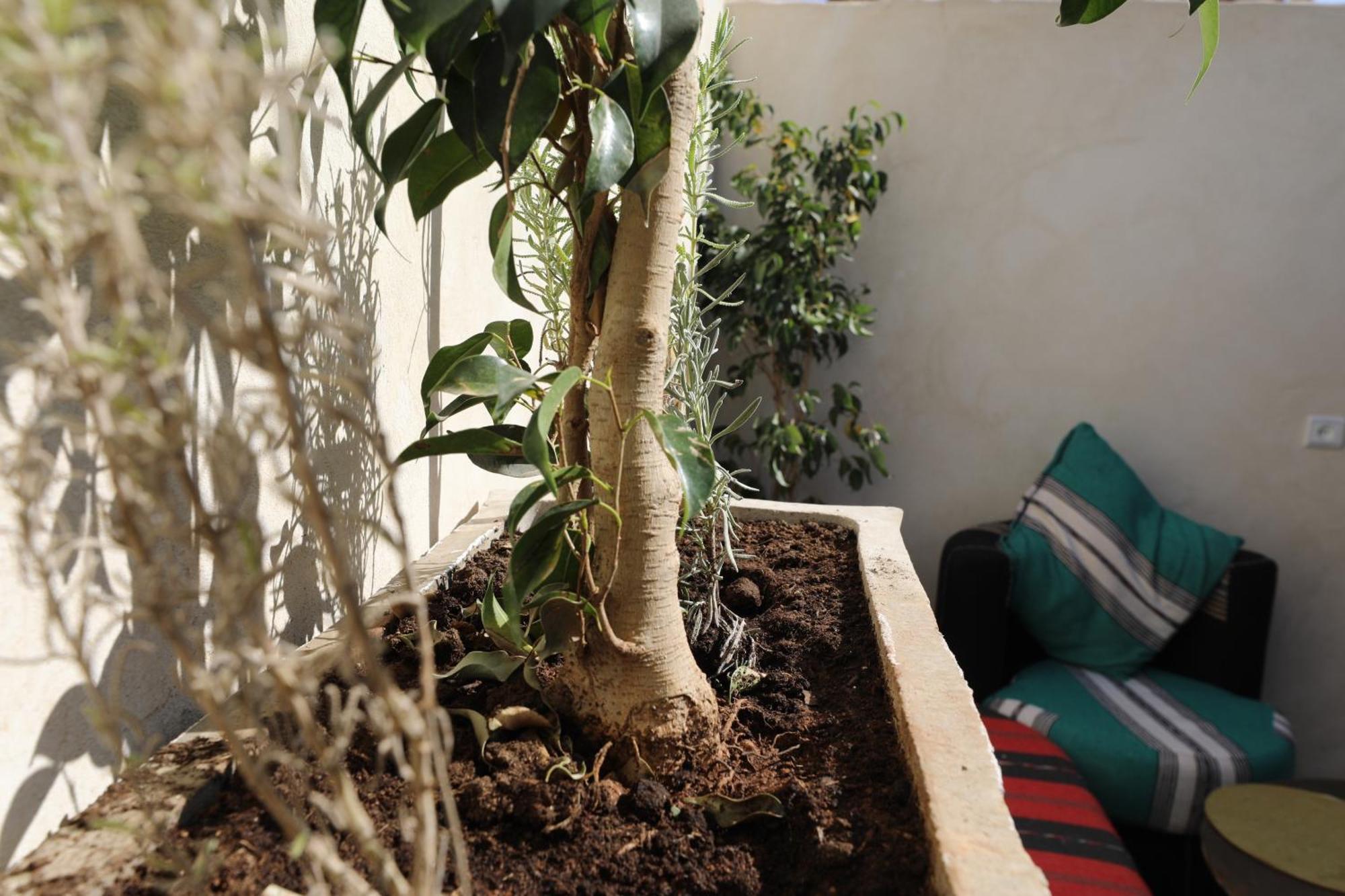 Marrakech Apartment Marrakesh