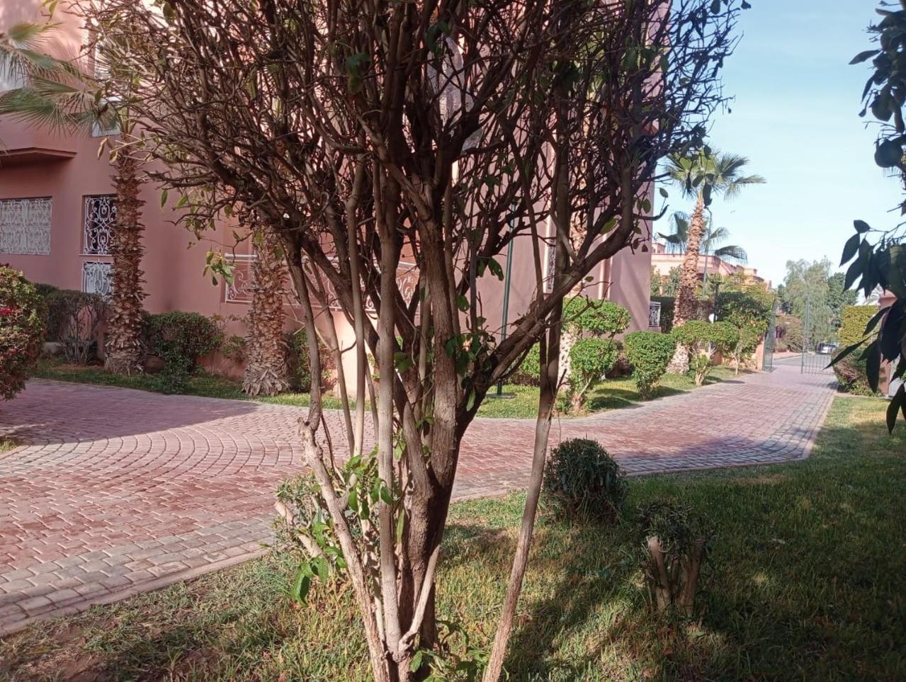 Majorelle 2 Olivier Apartment *