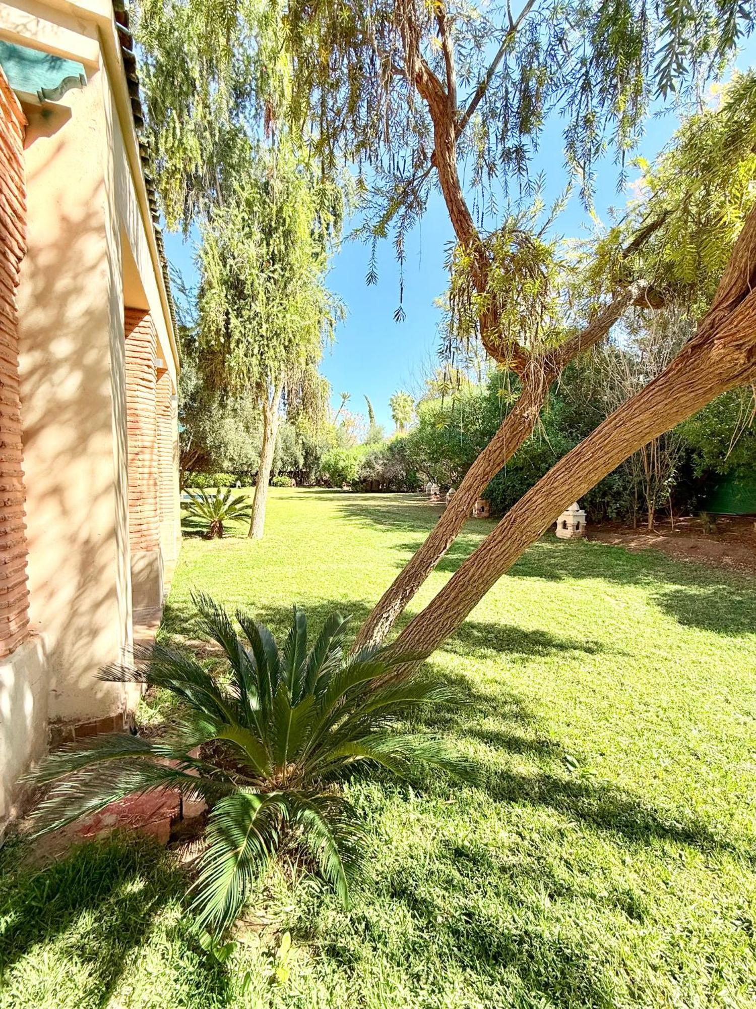 Luxury 4 Bedrooms In Oasis Palmeraie Village Palm Haven Villa Marrakesh