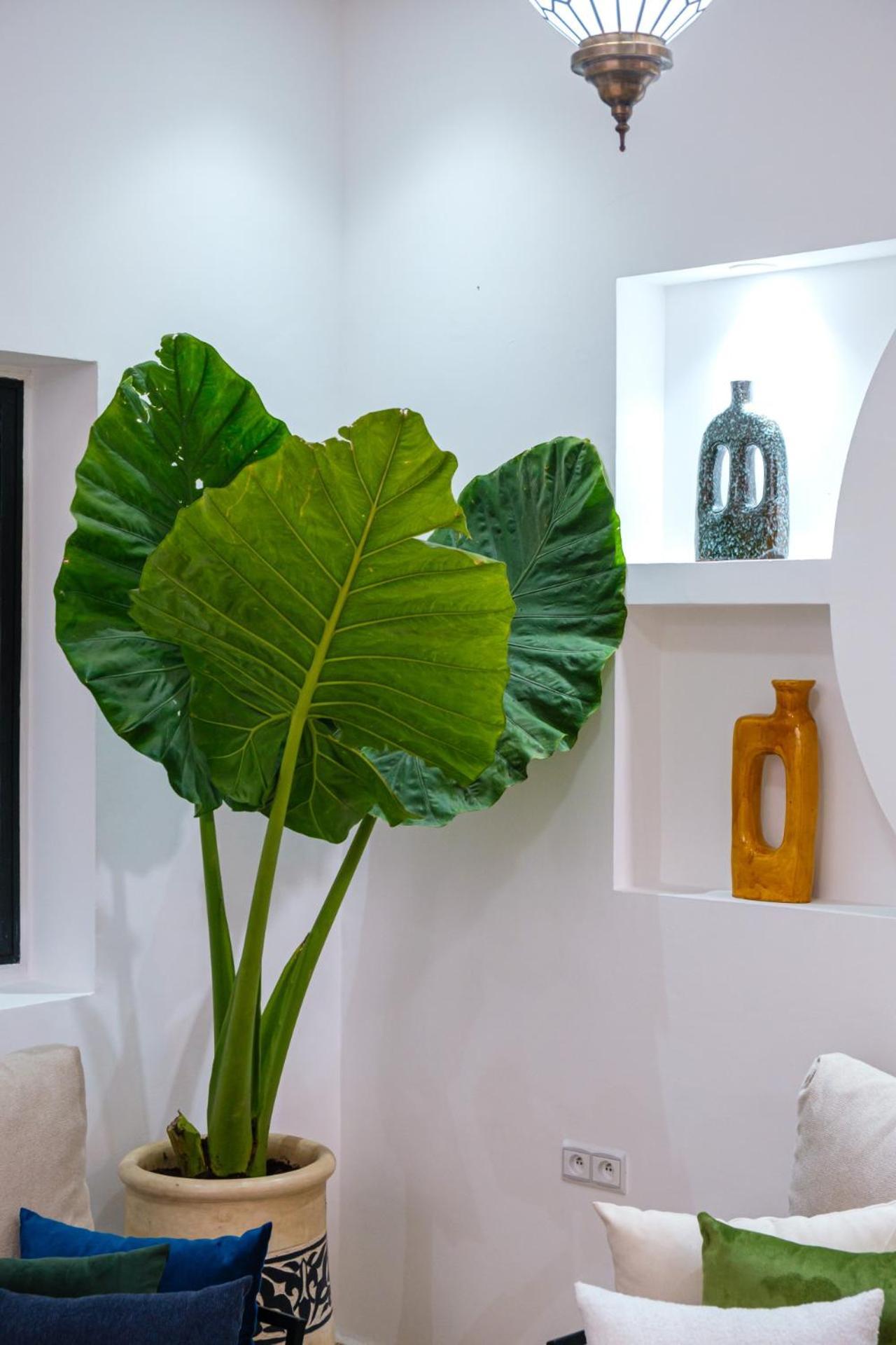 Riad Dar Amarena Exclusif Breakfast
