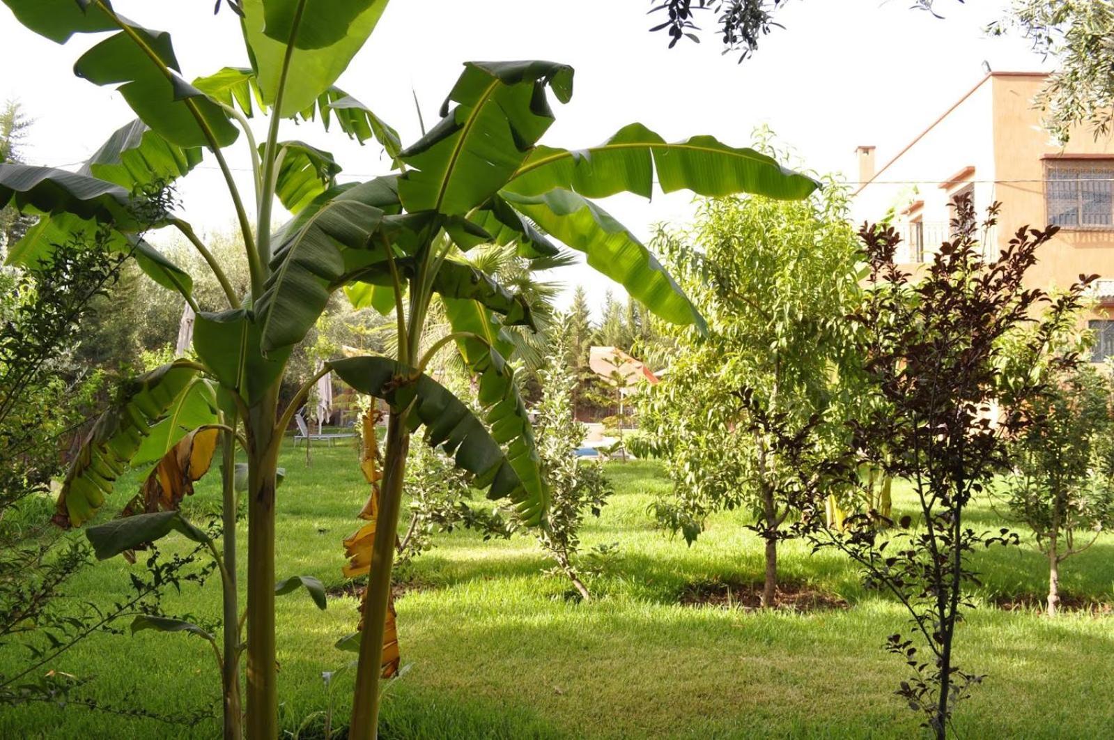 Ilafe Farmhouse, Avec Piscine Chauffee Privee Et Jacuzzi Pour Familles * Marrakesh