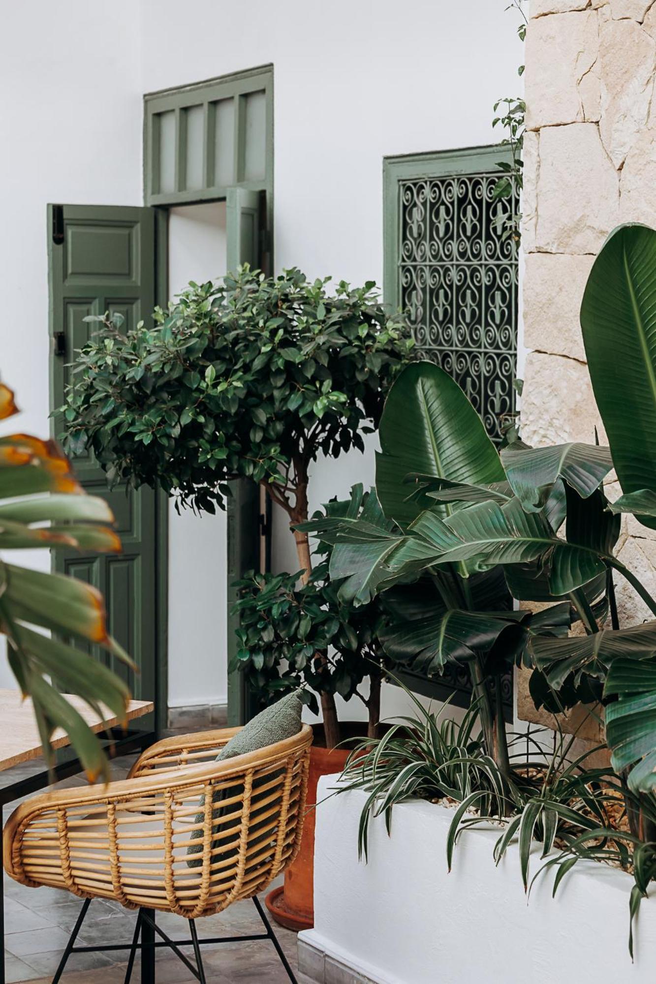 Riad Wenge & Marrakesh