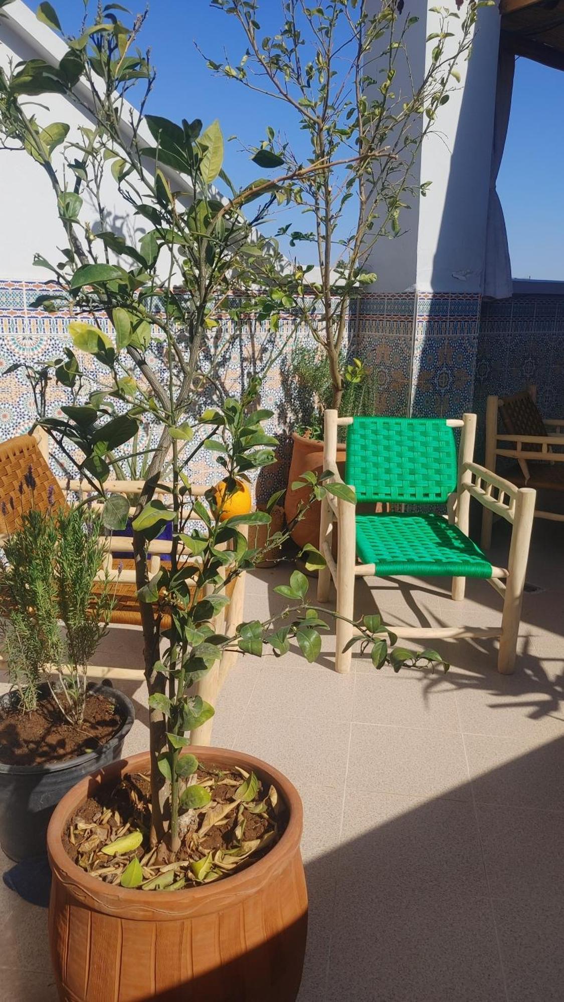 Holiday home Dar Amane - Charmante Maison Marocaine