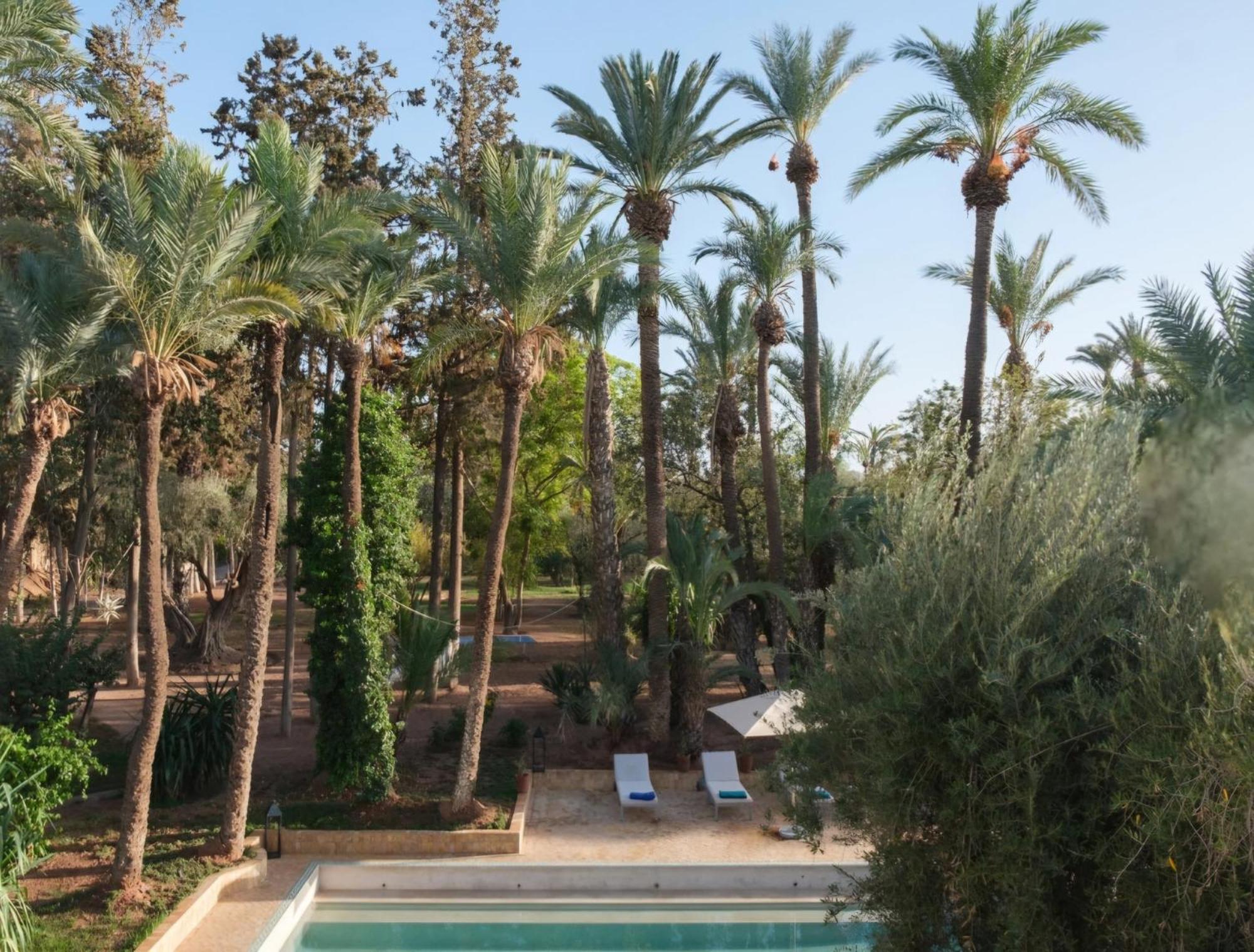 L'elegance Architecturale Au Coeur De La Palmeraie Villa Marrakesh