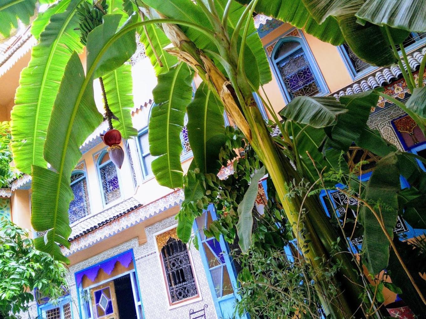 Riad Carole - Perfect For Families & Groups Marrakesh