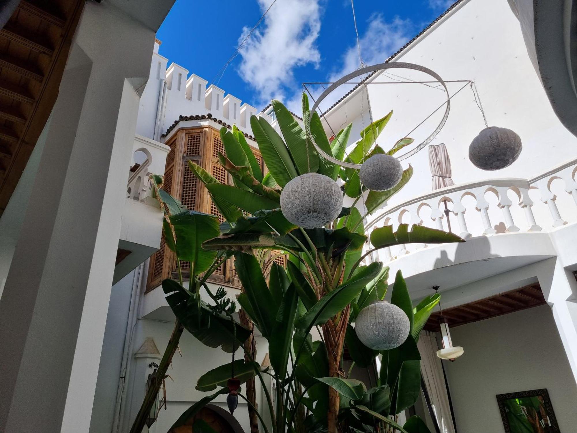 Dar Habouba * Marrakesh