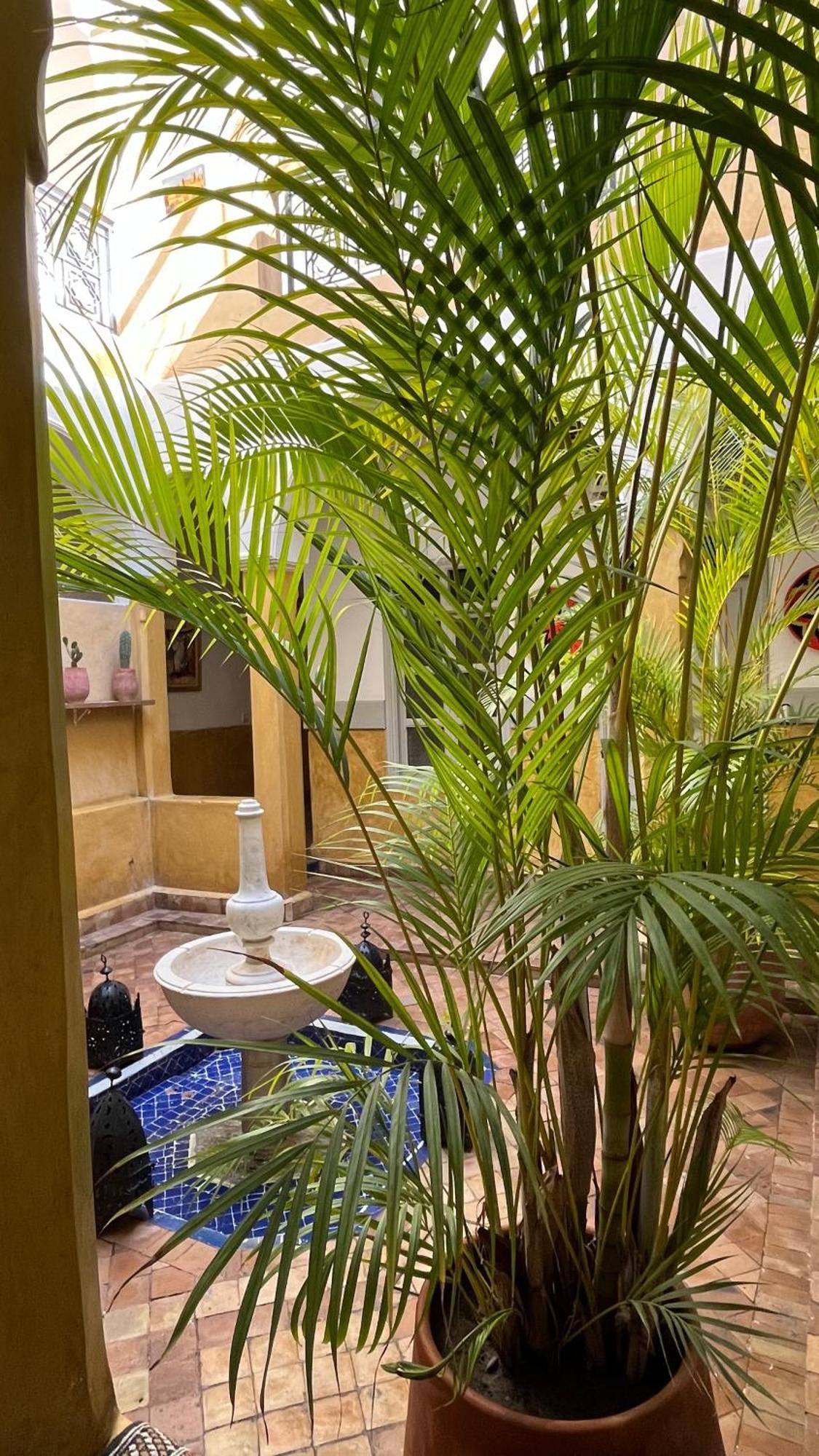 Laila Riad Marrakesh