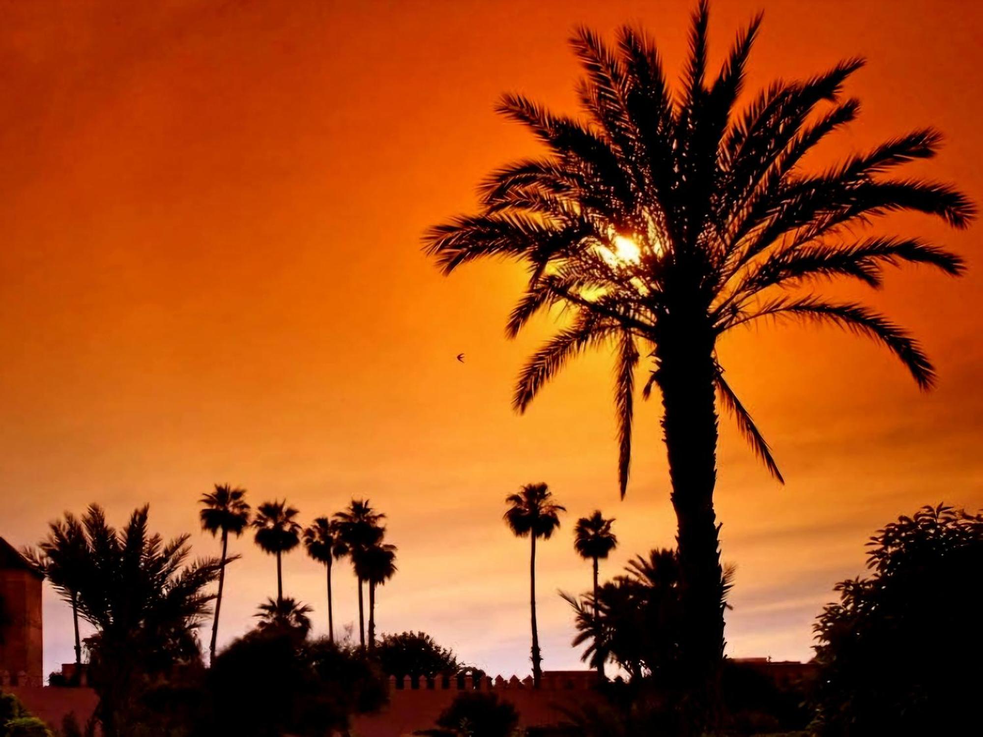 La Perle De L'atlas By Golf * Marrakesh