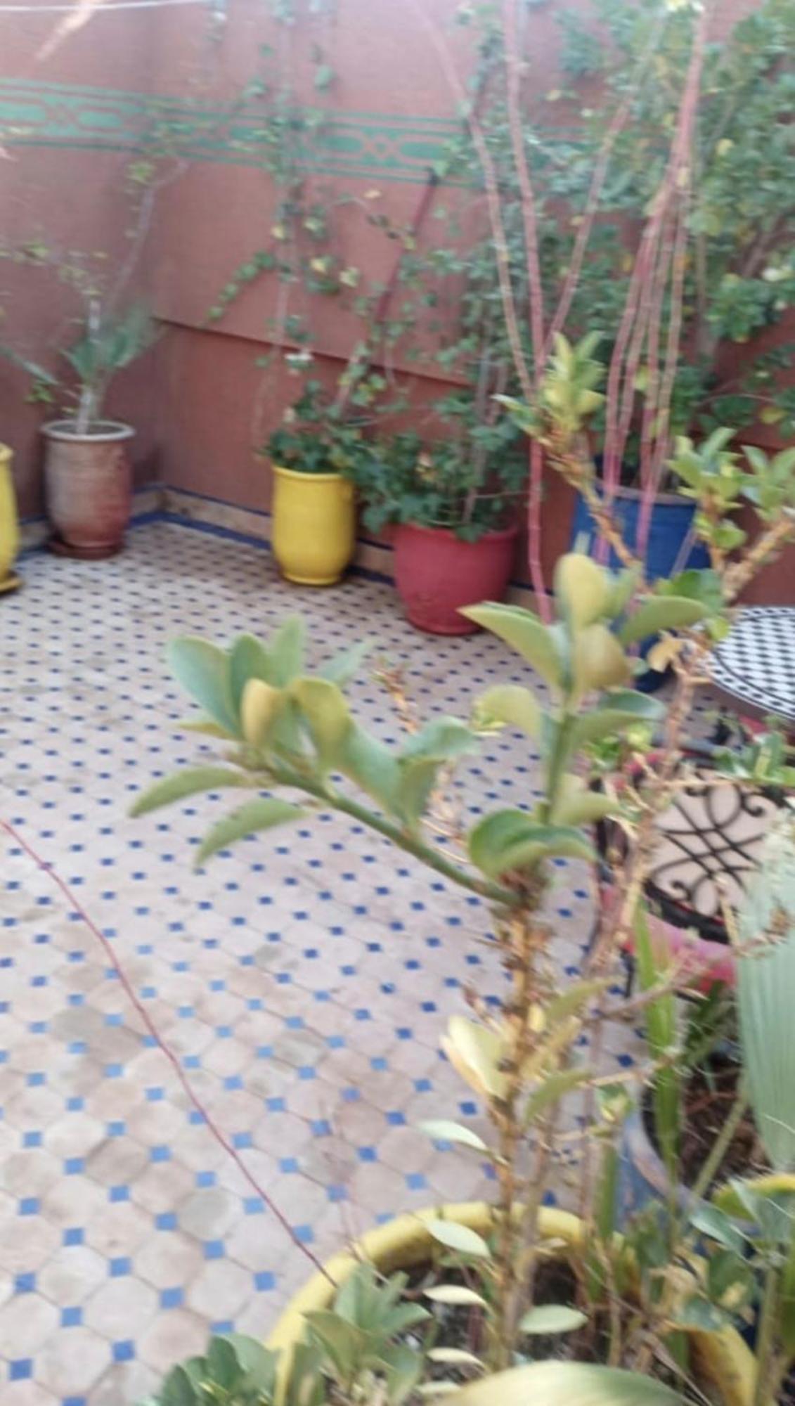 Au Coeur De Marrakech Marrakesh